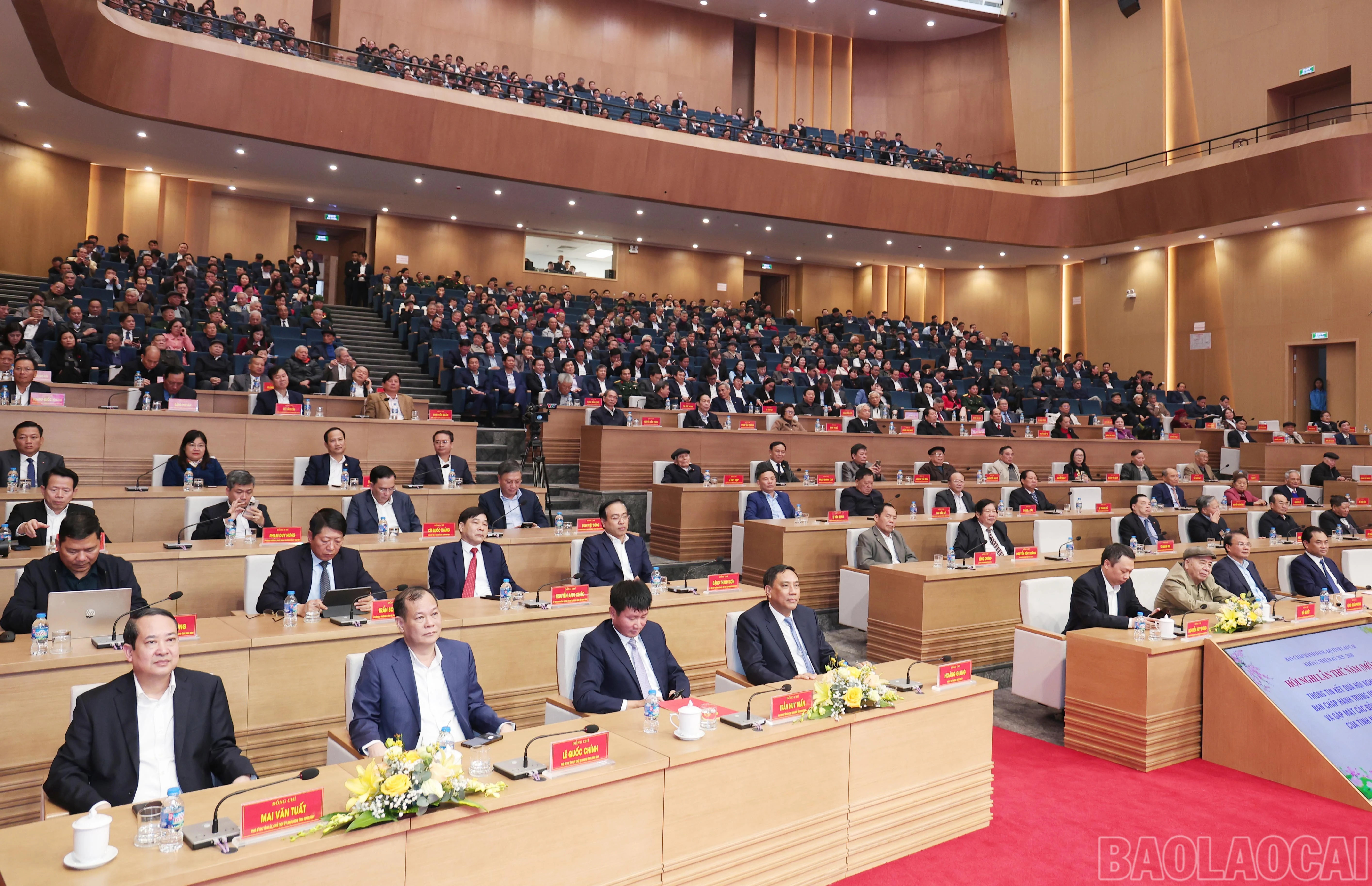 baolaocai-br_img-4826.jpg