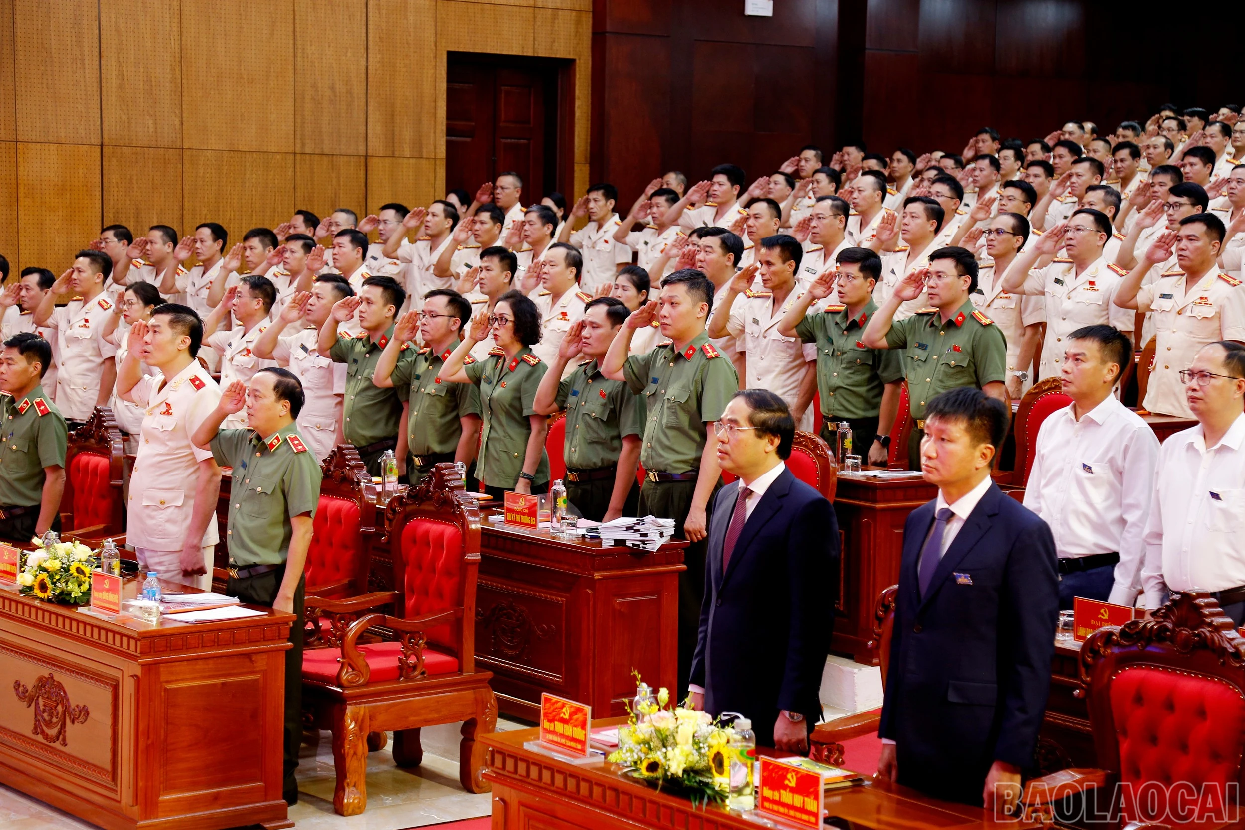 baolaocai-br_mg-6430.jpg