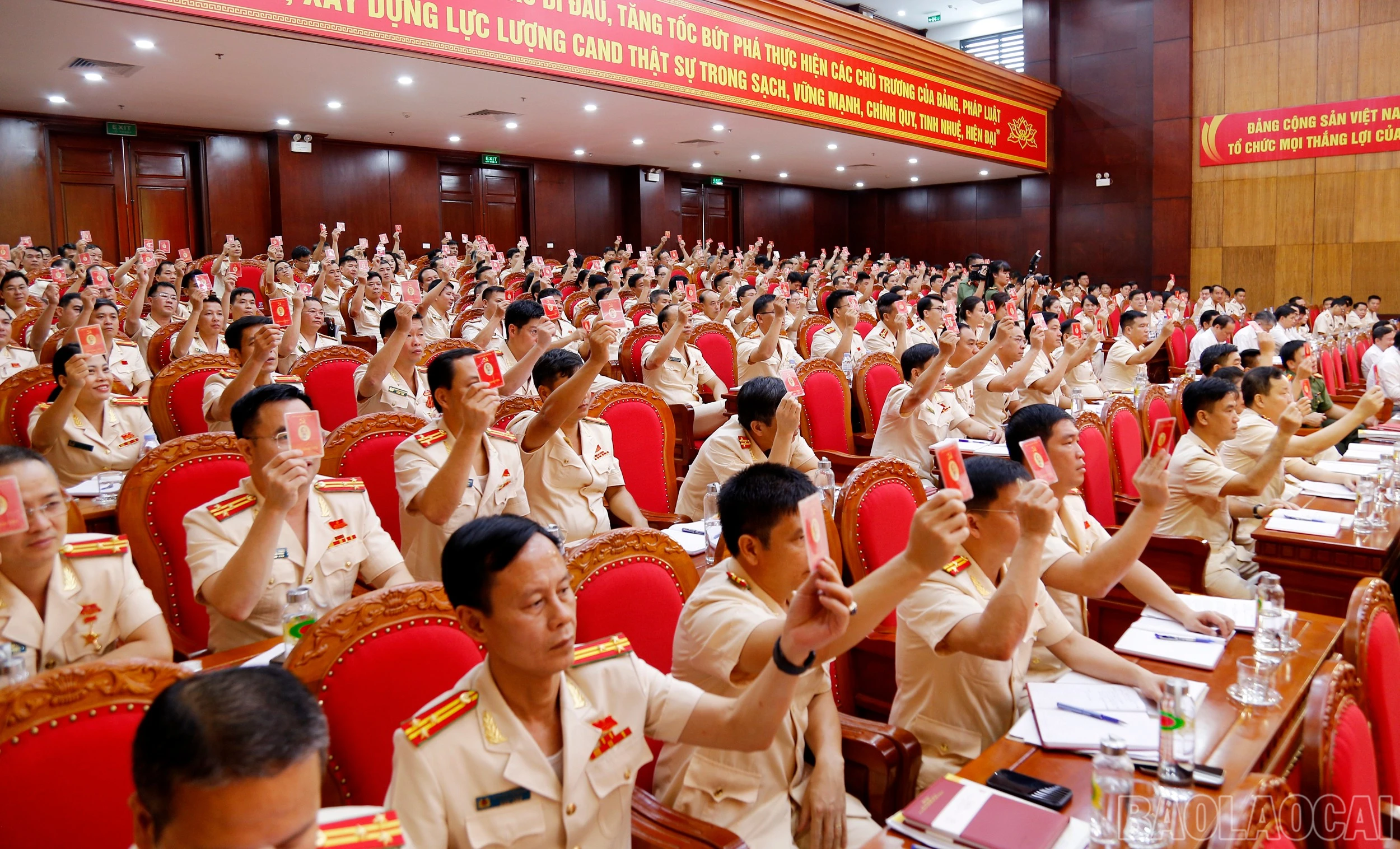 baolaocai-br_mg-6462.jpg