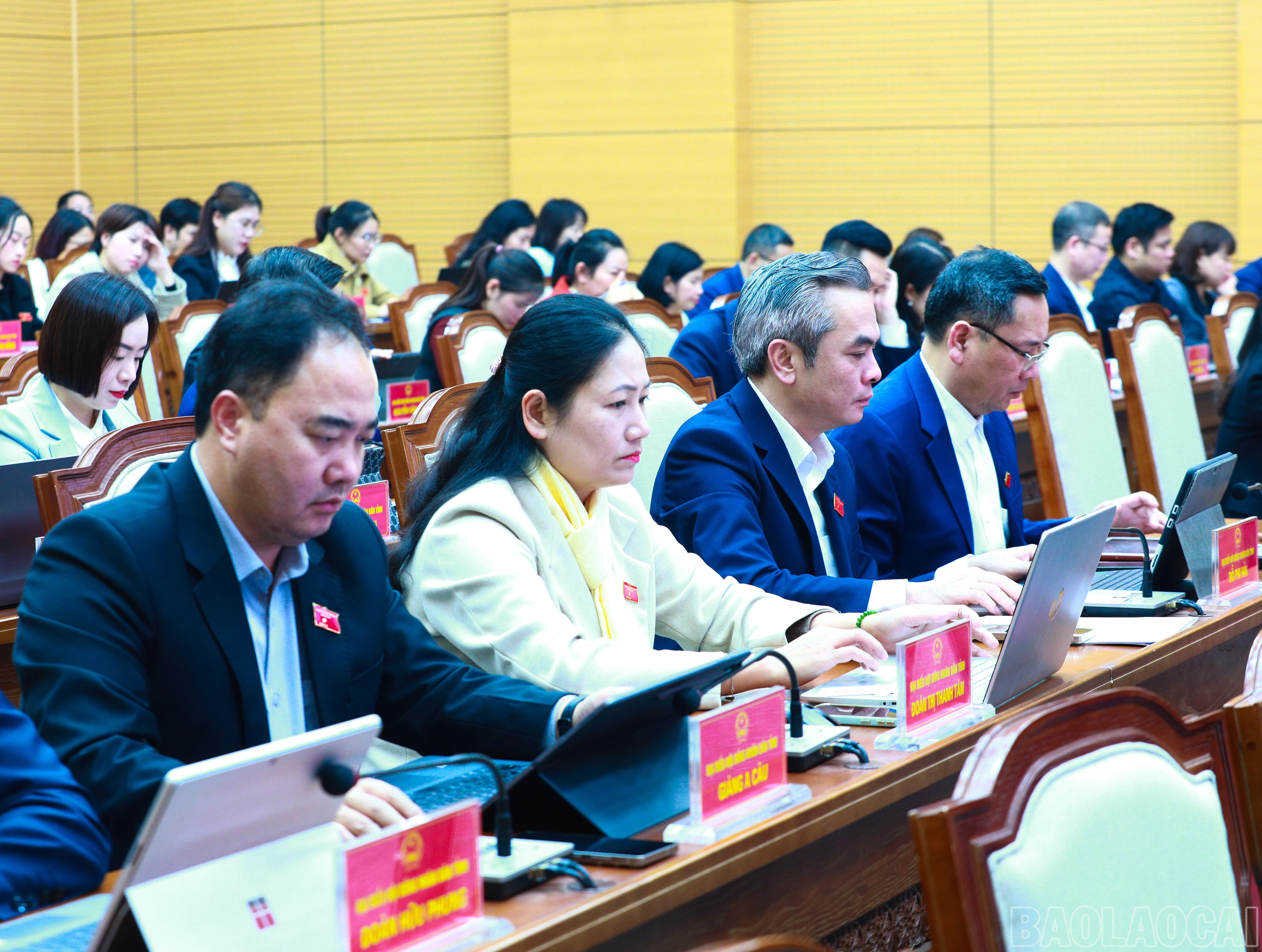 baolaocai-br_7j5a0553.jpg