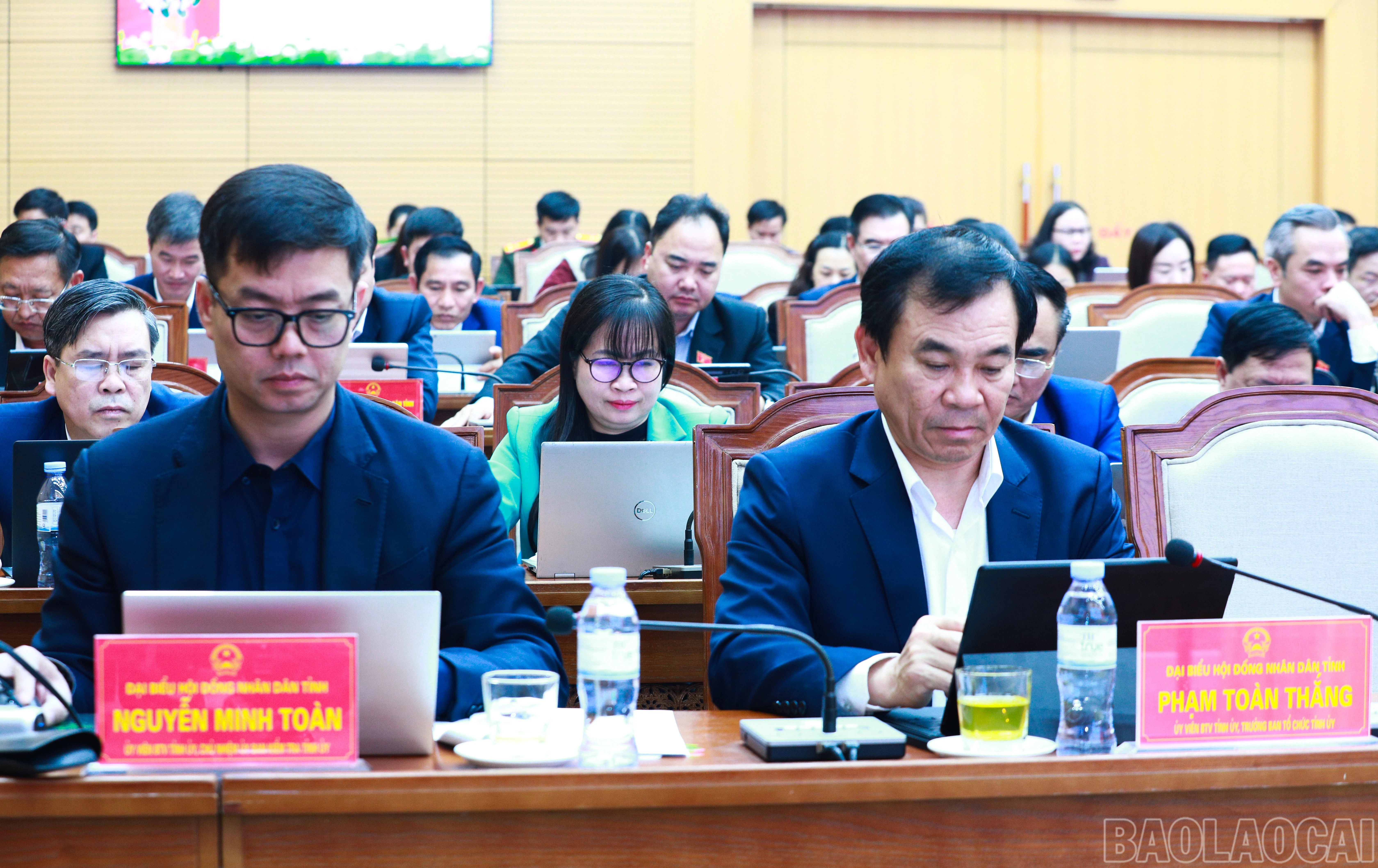 baolaocai-br_7j5a0538.jpg