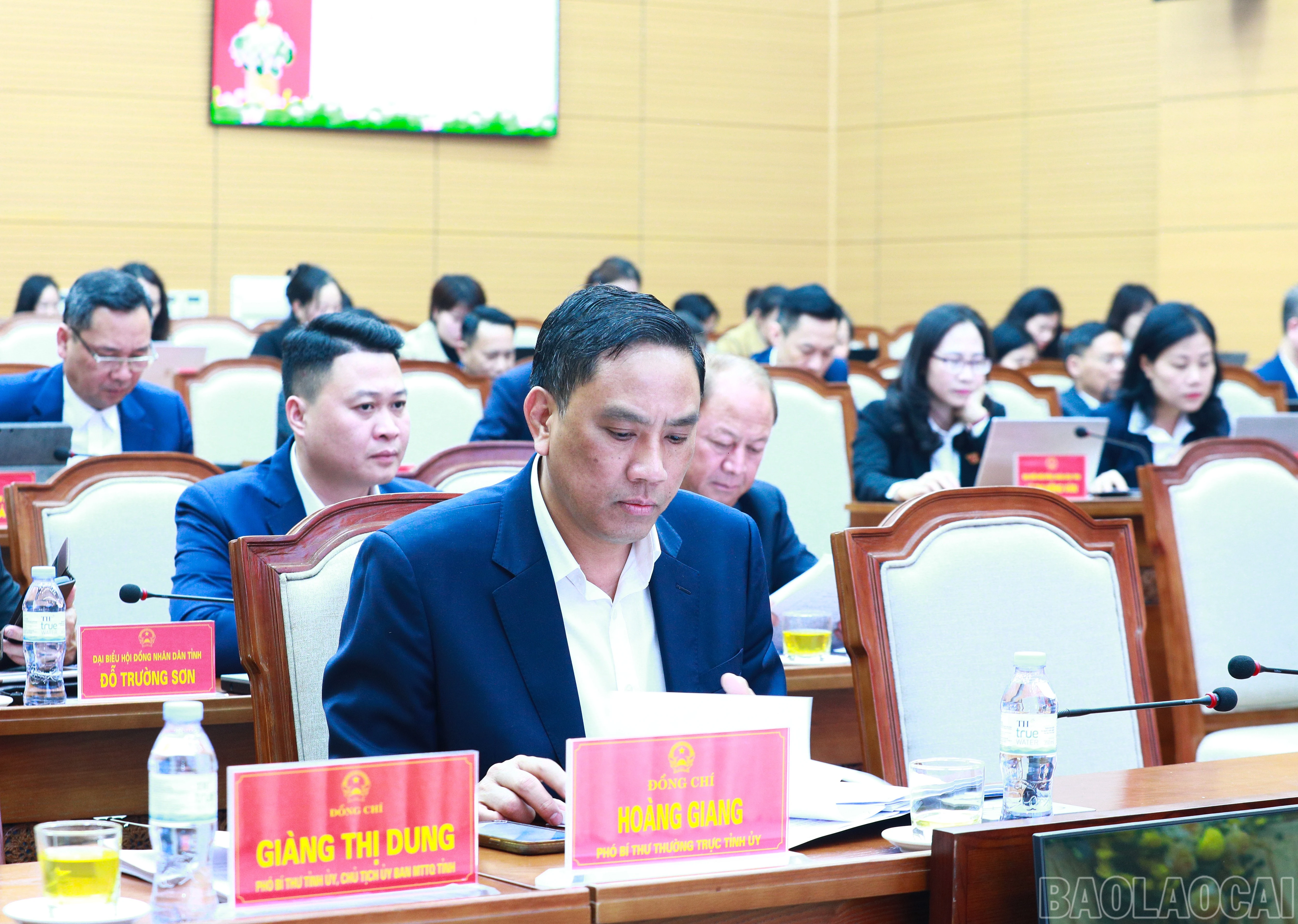 baolaocai-br_7j5a0534.jpg