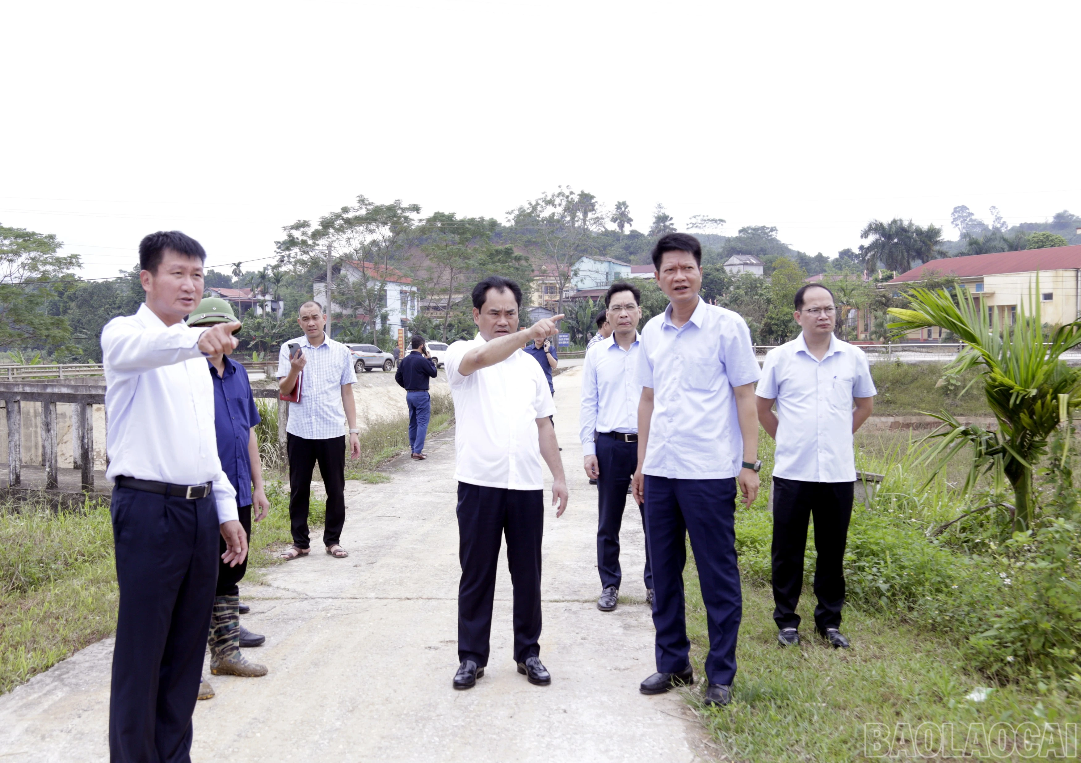 baolaocai-br_mg-9424.jpg