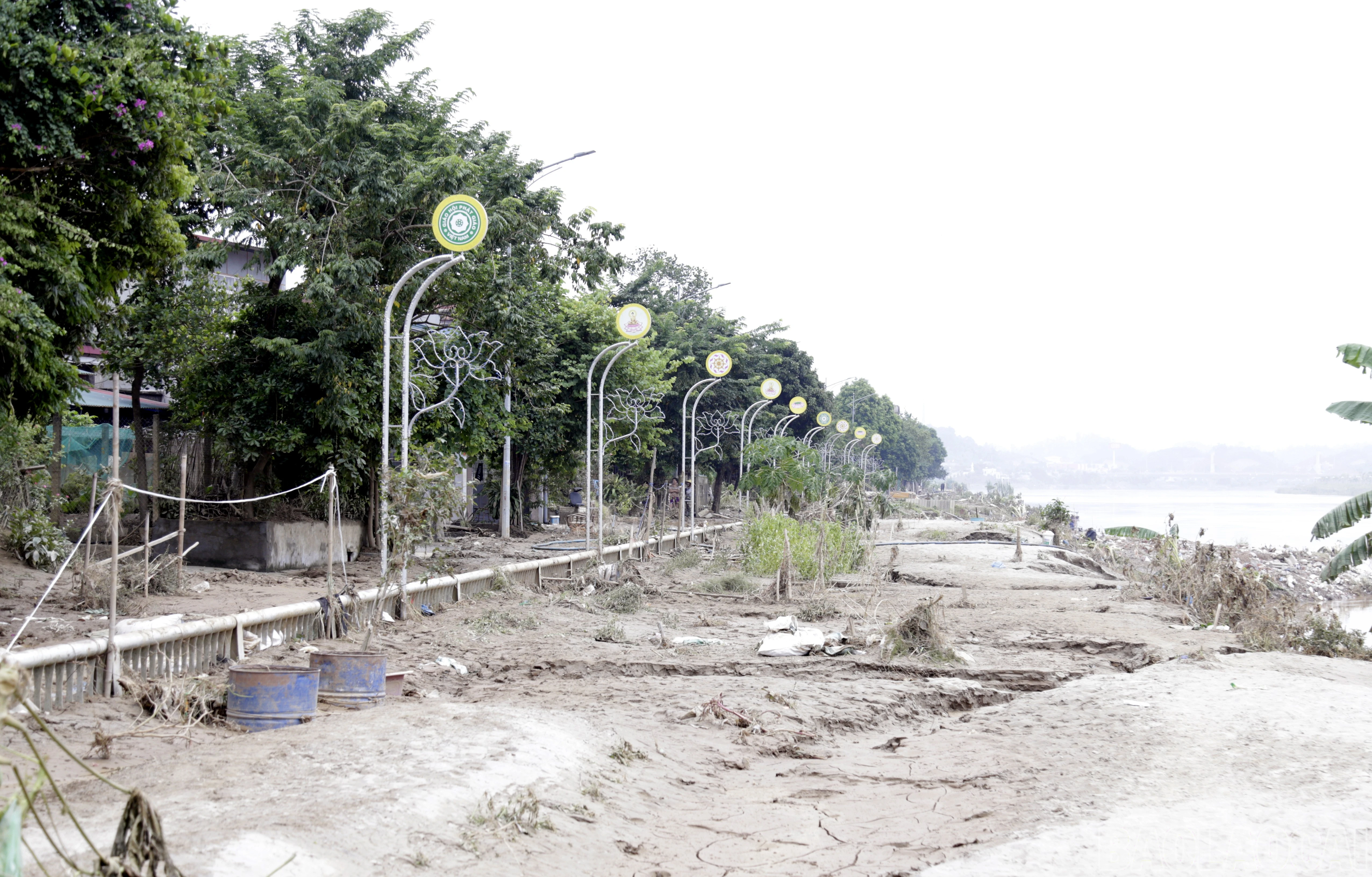 baolaocai-br_mg-9507.jpg