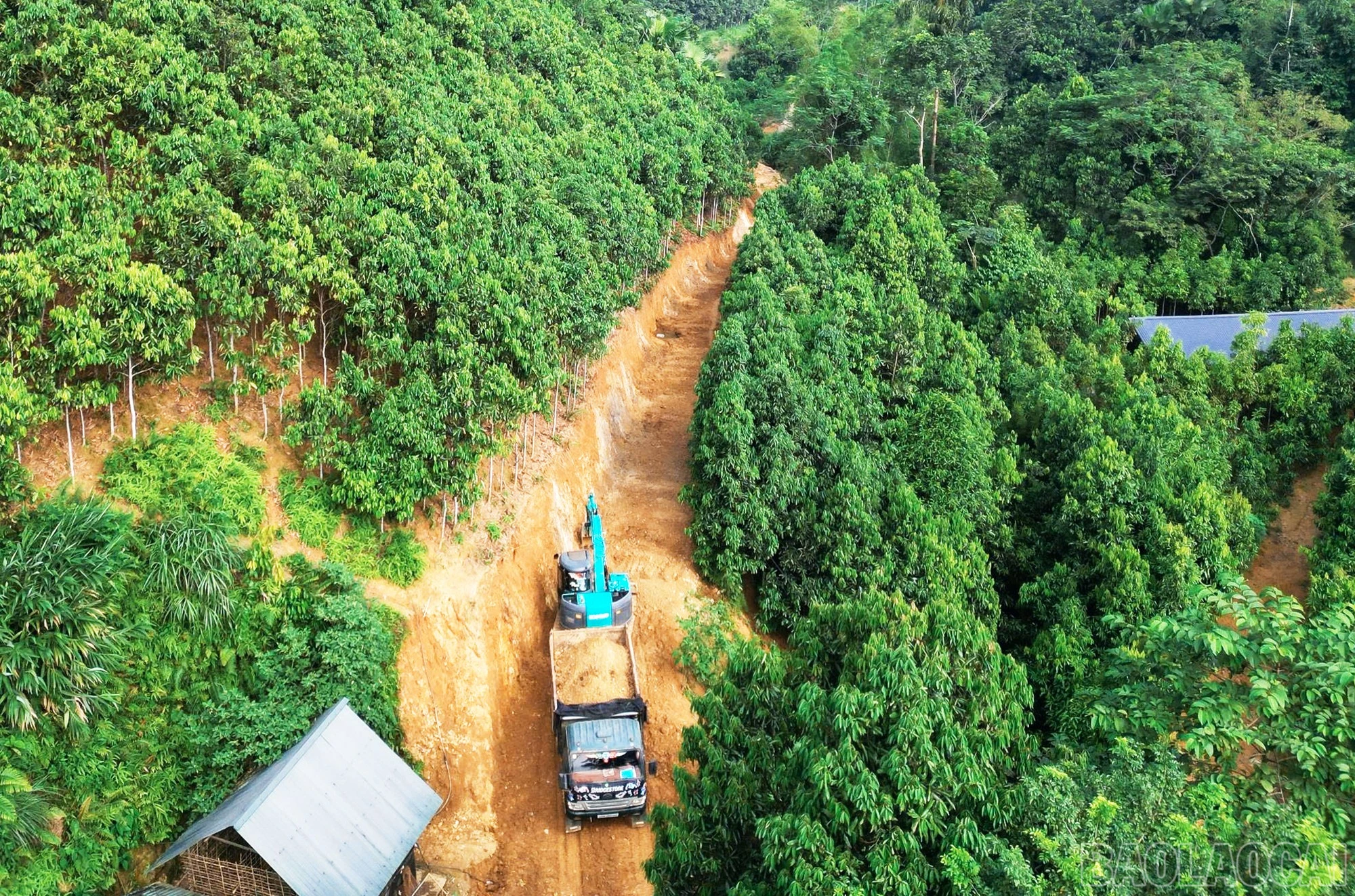 baolaocai-br_1790591409260-5347688886200609161-5347688886200609161-0da3a1740072c37f716334913b305bba.jpg