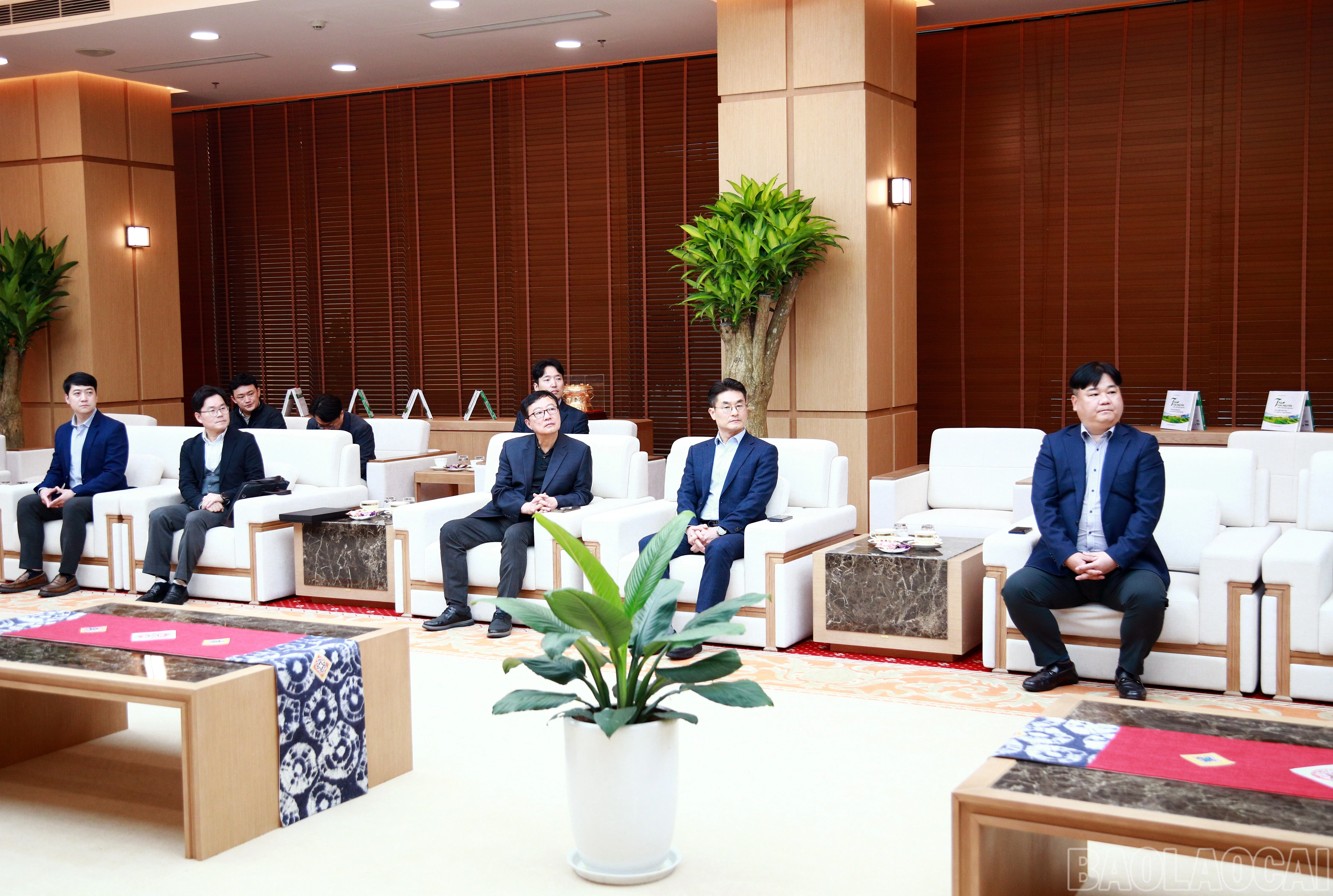 baolaocai-br_7j5a5237.jpg