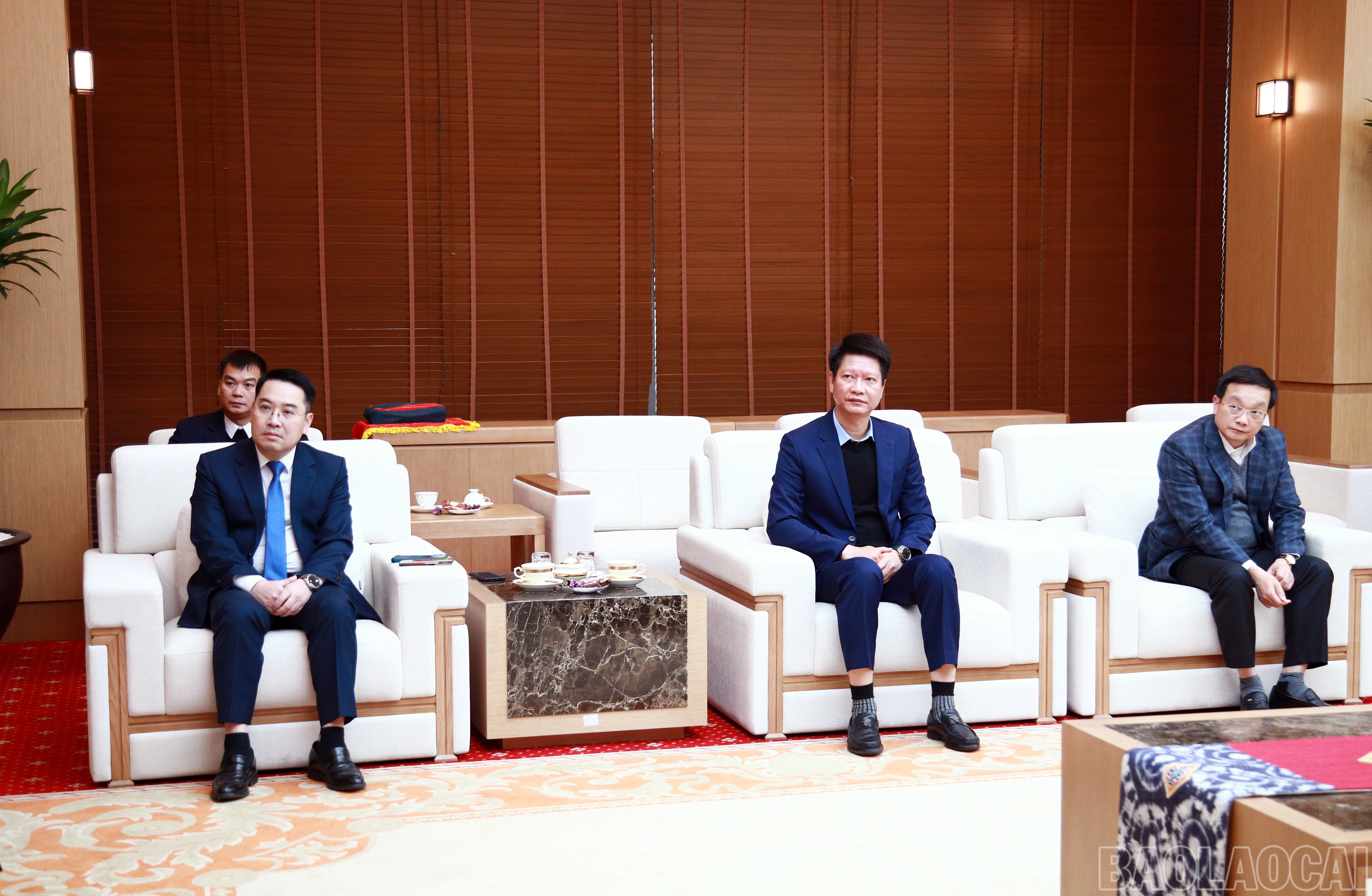 baolaocai-br_7j5a5247.jpg