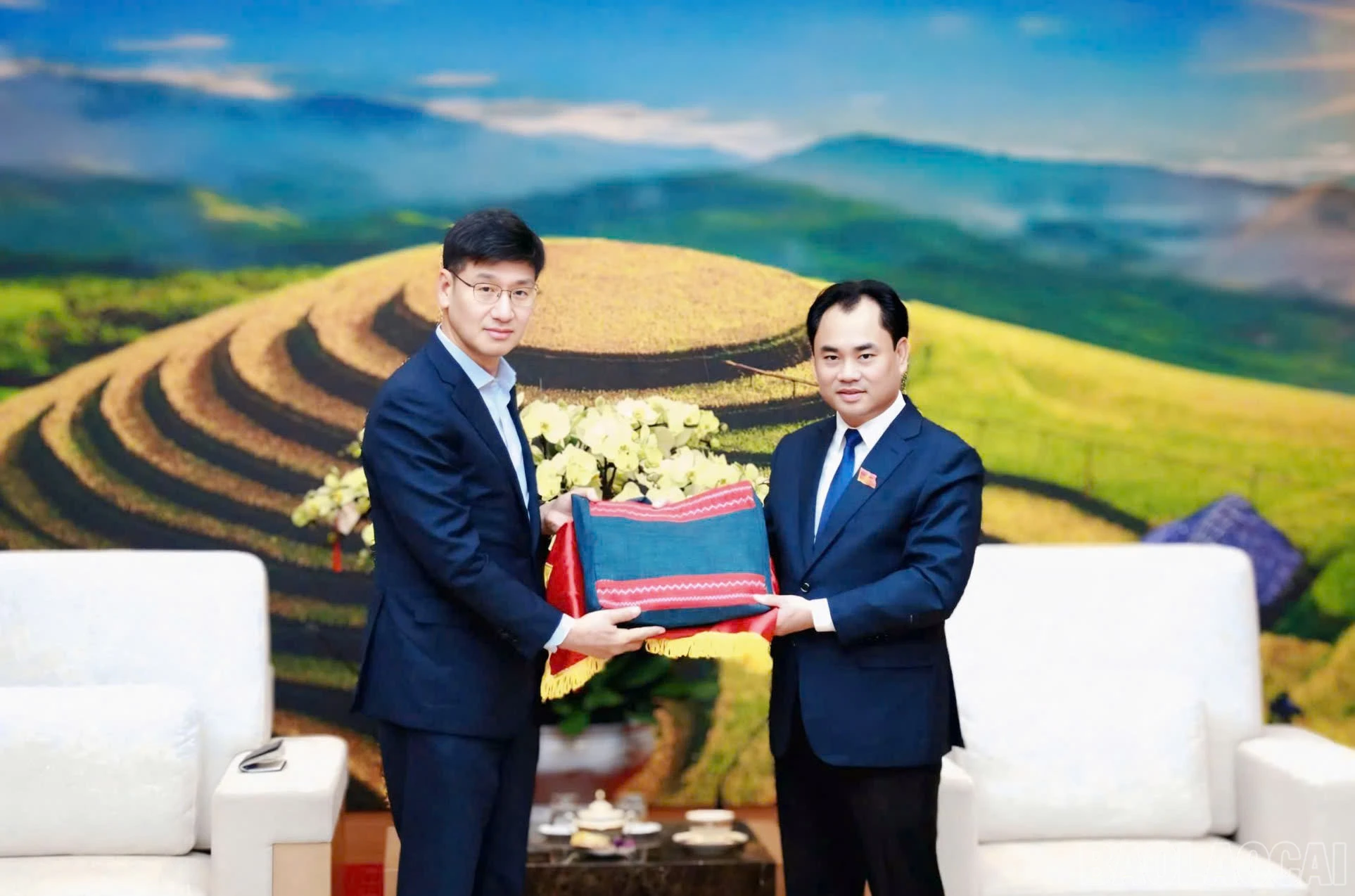 baolaocai-br_z7518402655752-09b5be10ee0493d3d54e047fcbd77275.jpg