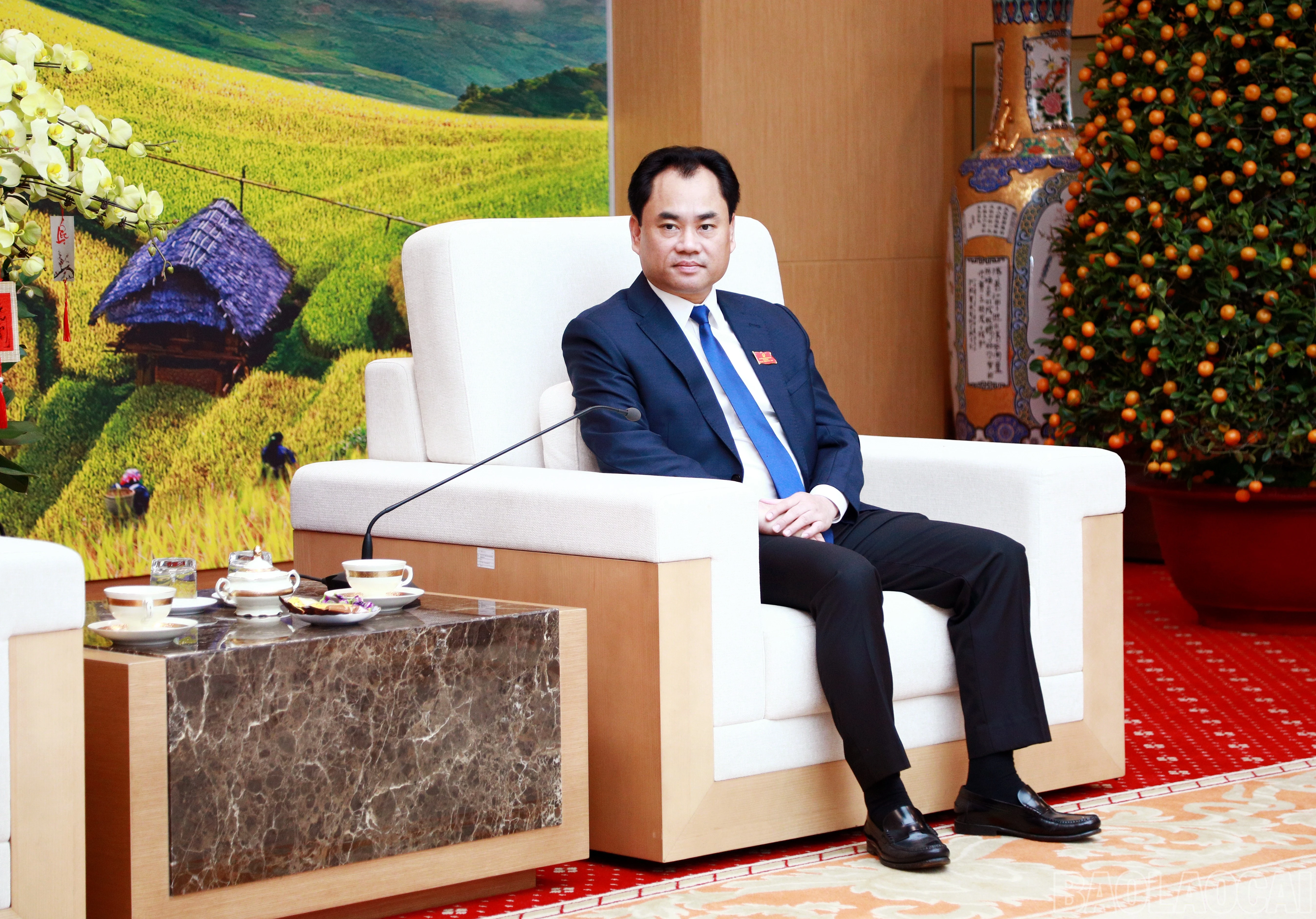 baolaocai-br_7j5a5267.jpg