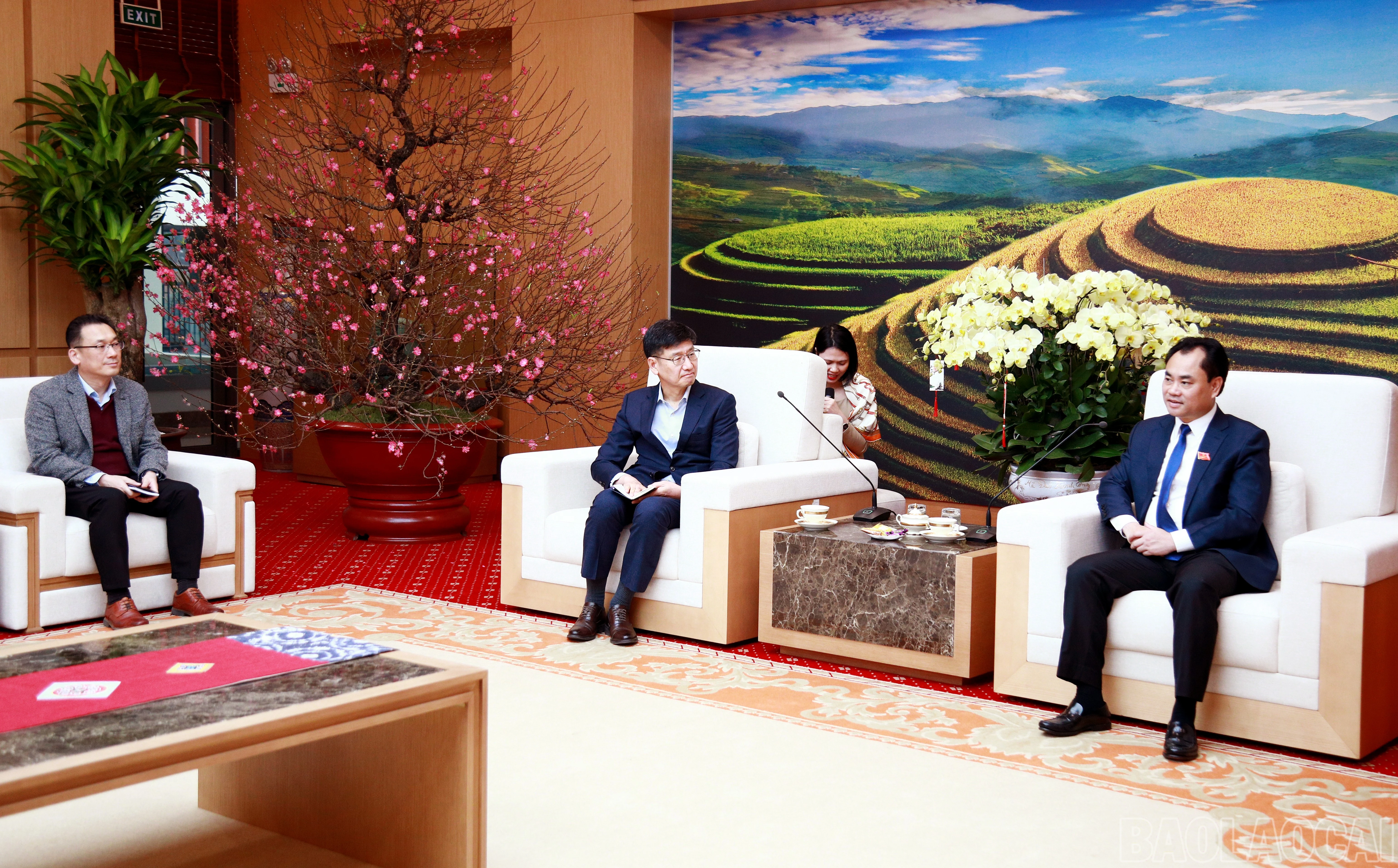 baolaocai-br_7j5a5277.jpg