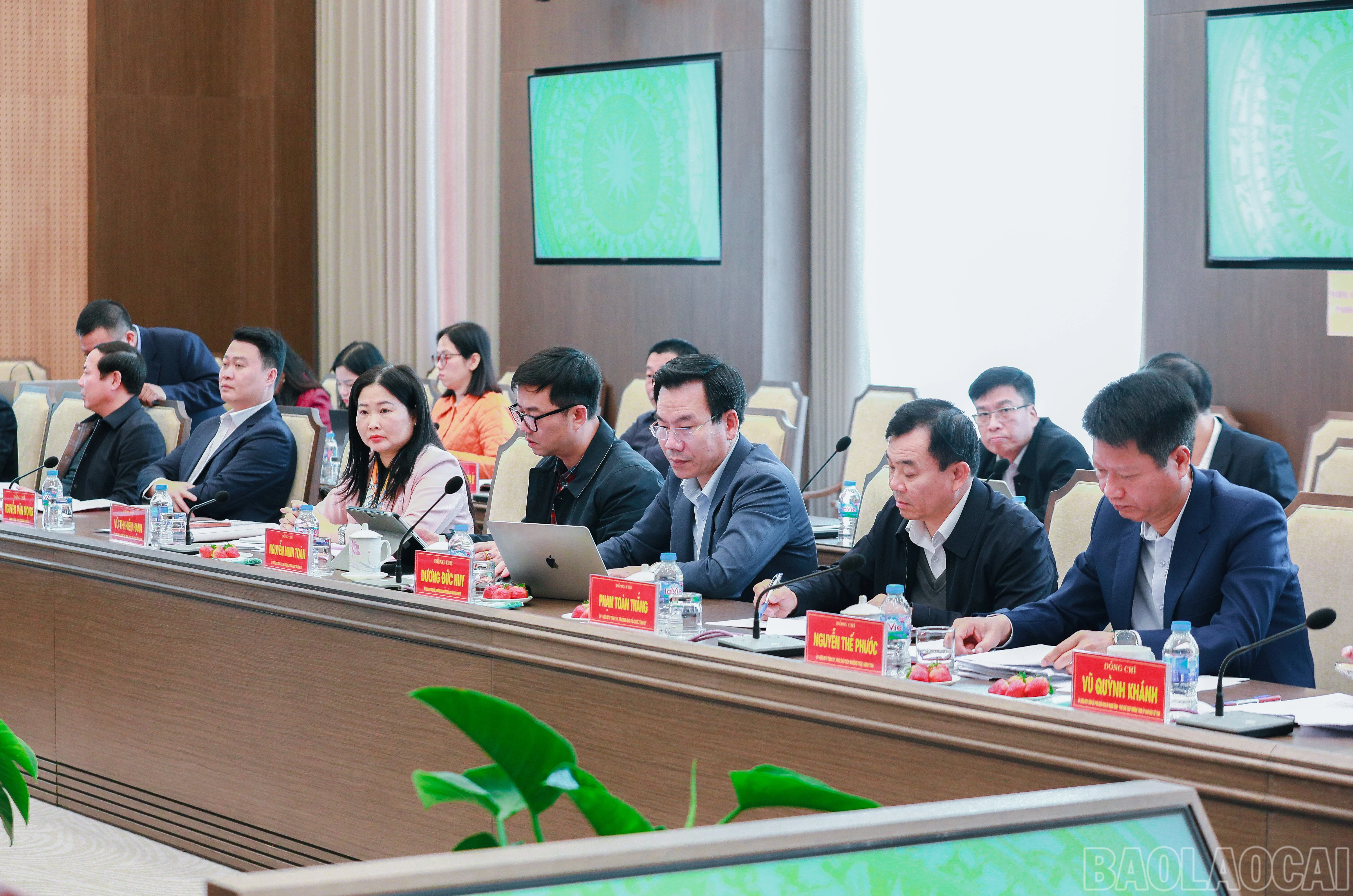 baolaocai-br_7j5a2394.jpg