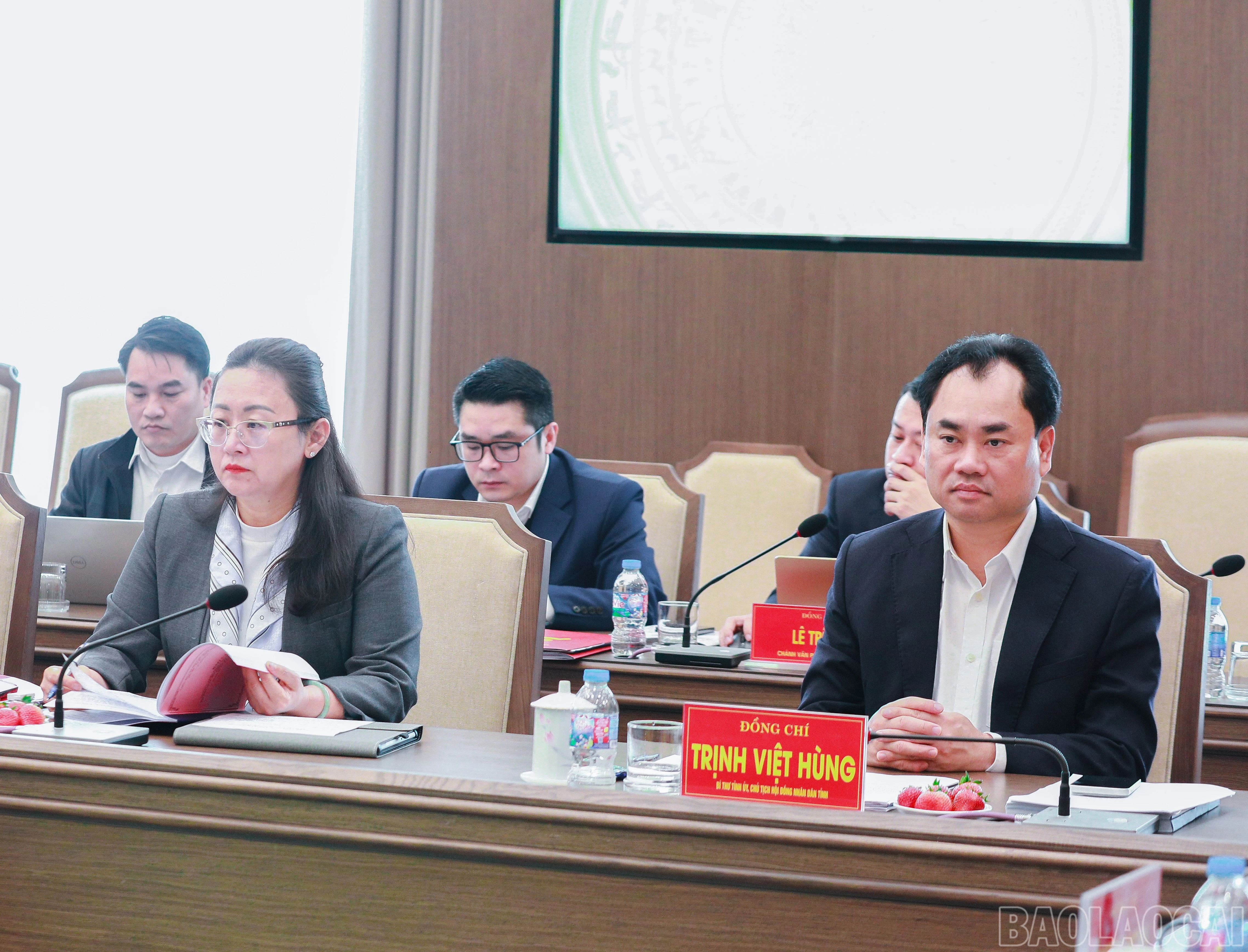 baolaocai-br_7j5a2391.jpg
