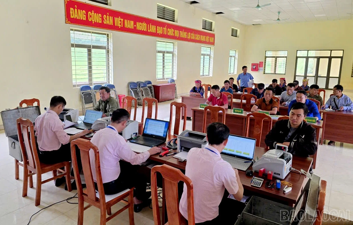 baolaocai-br_gen-h-z7410068140218-132365f2a09407a8497297f4d8584d99.jpg