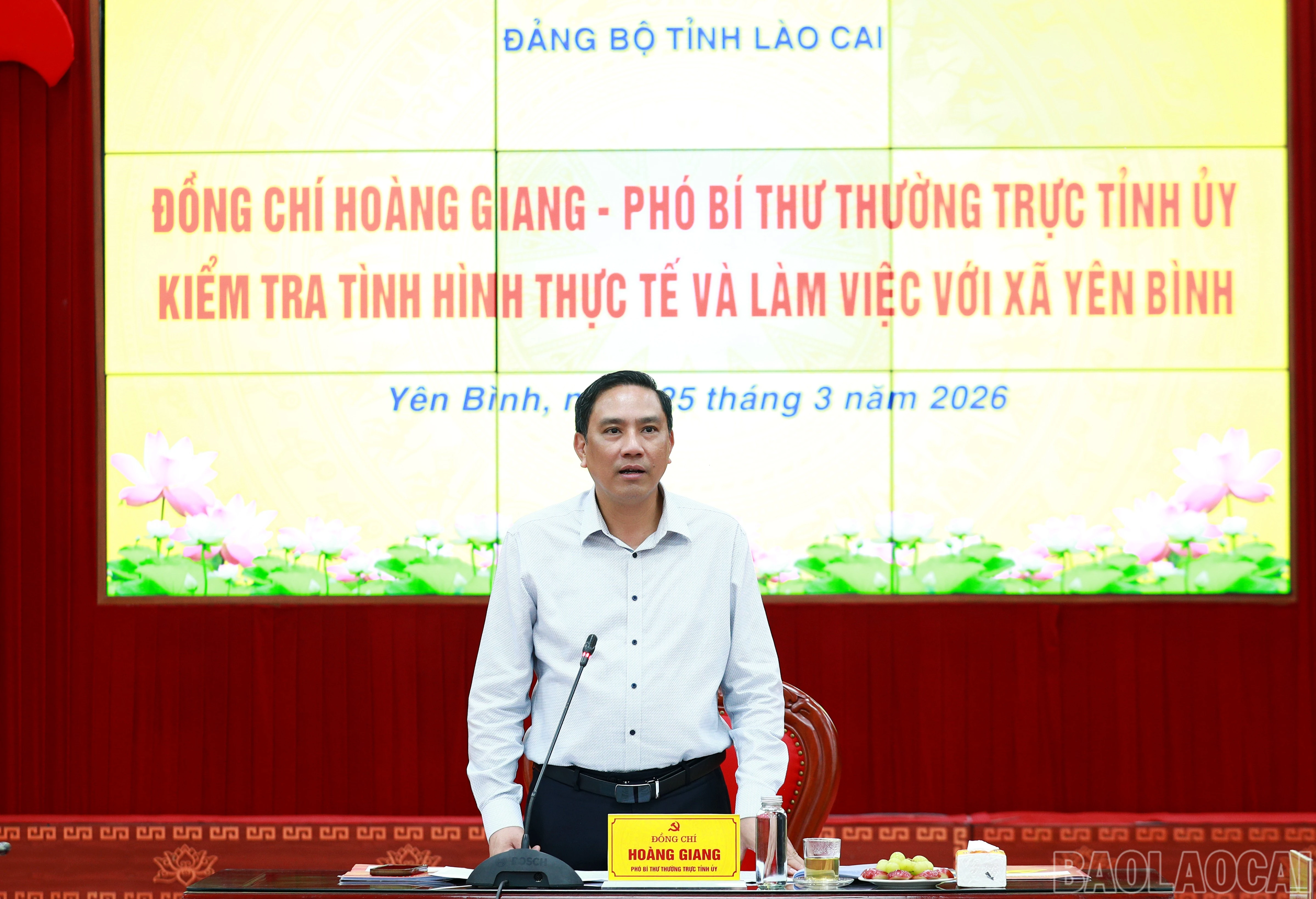 baolaocai-br_7j5a9348.jpg