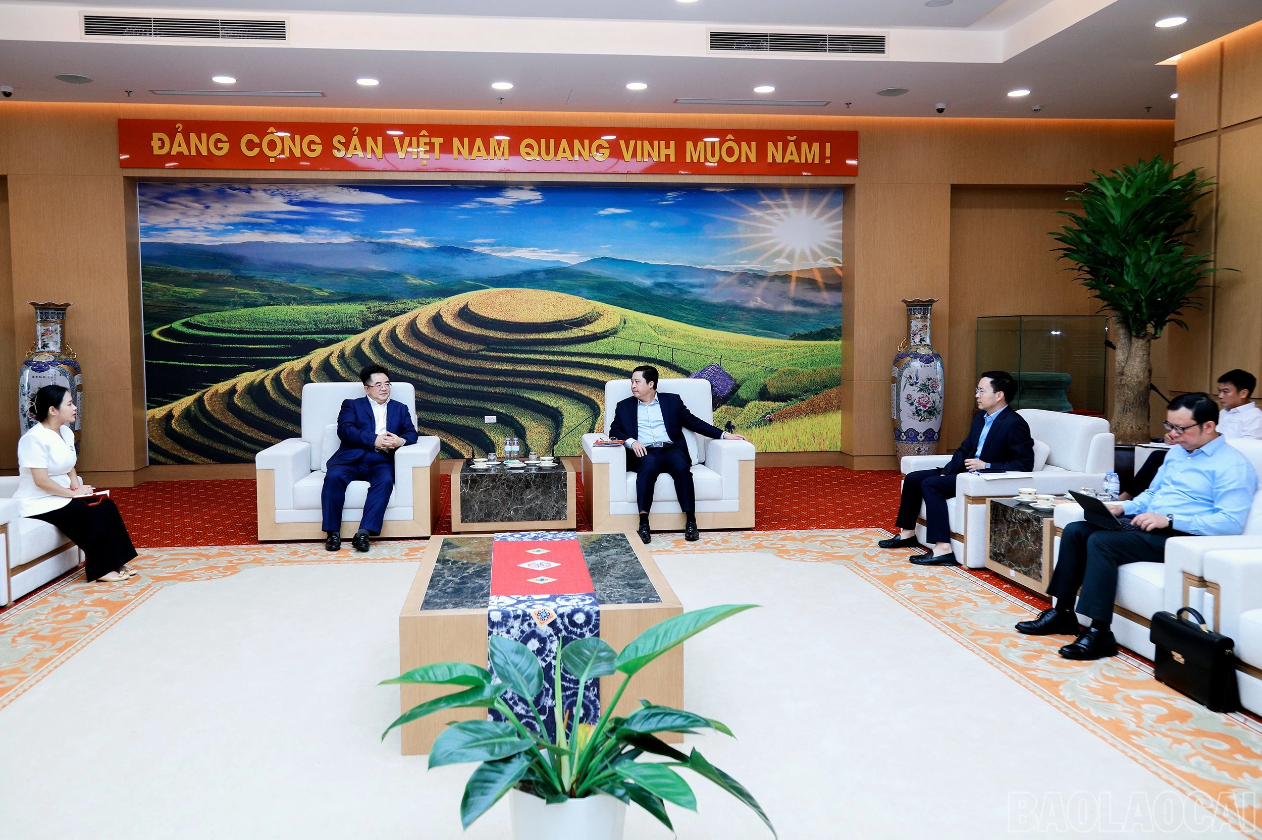 baolaocai-br_7j5a2790.jpg