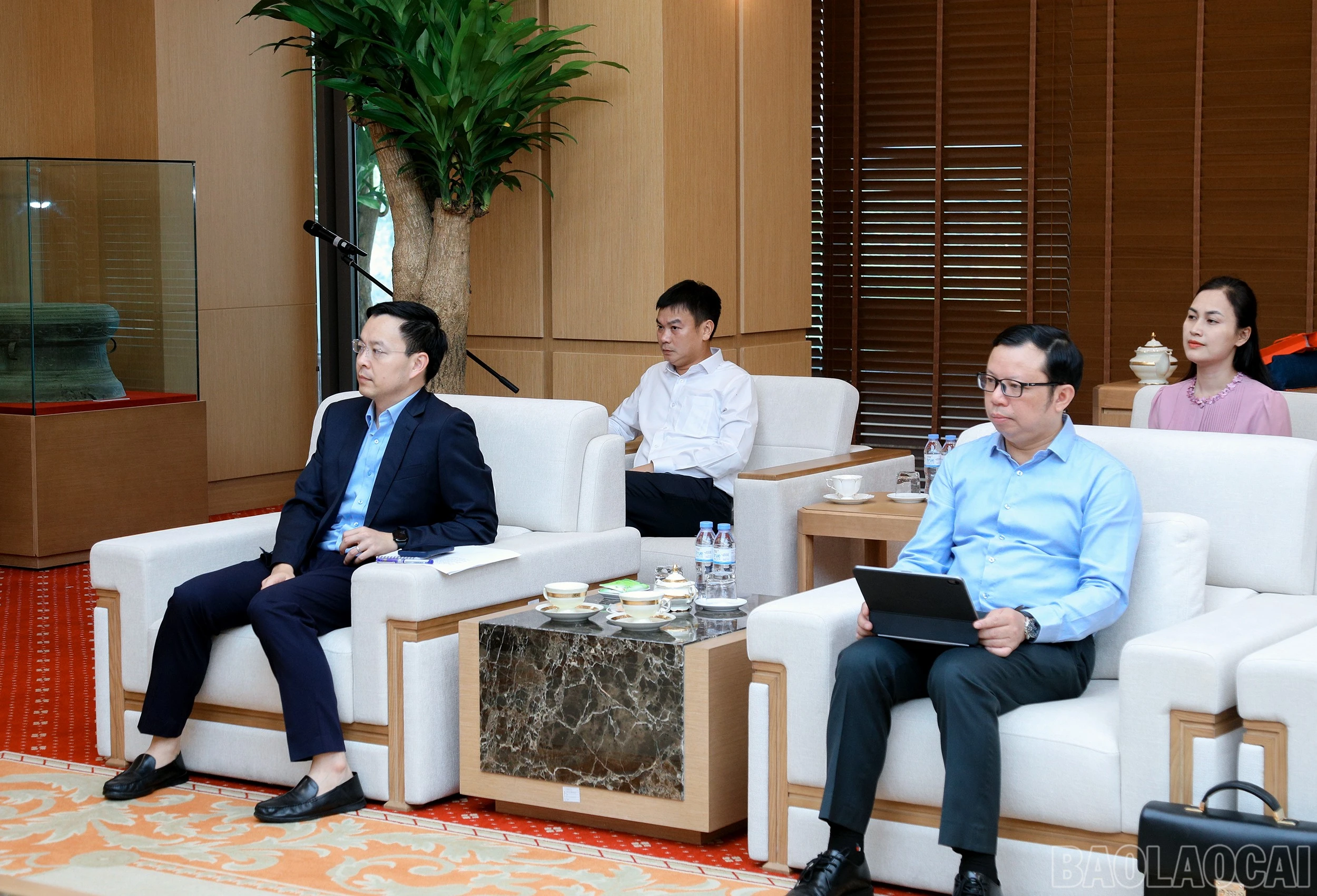 baolaocai-br_7j5a2805.jpg
