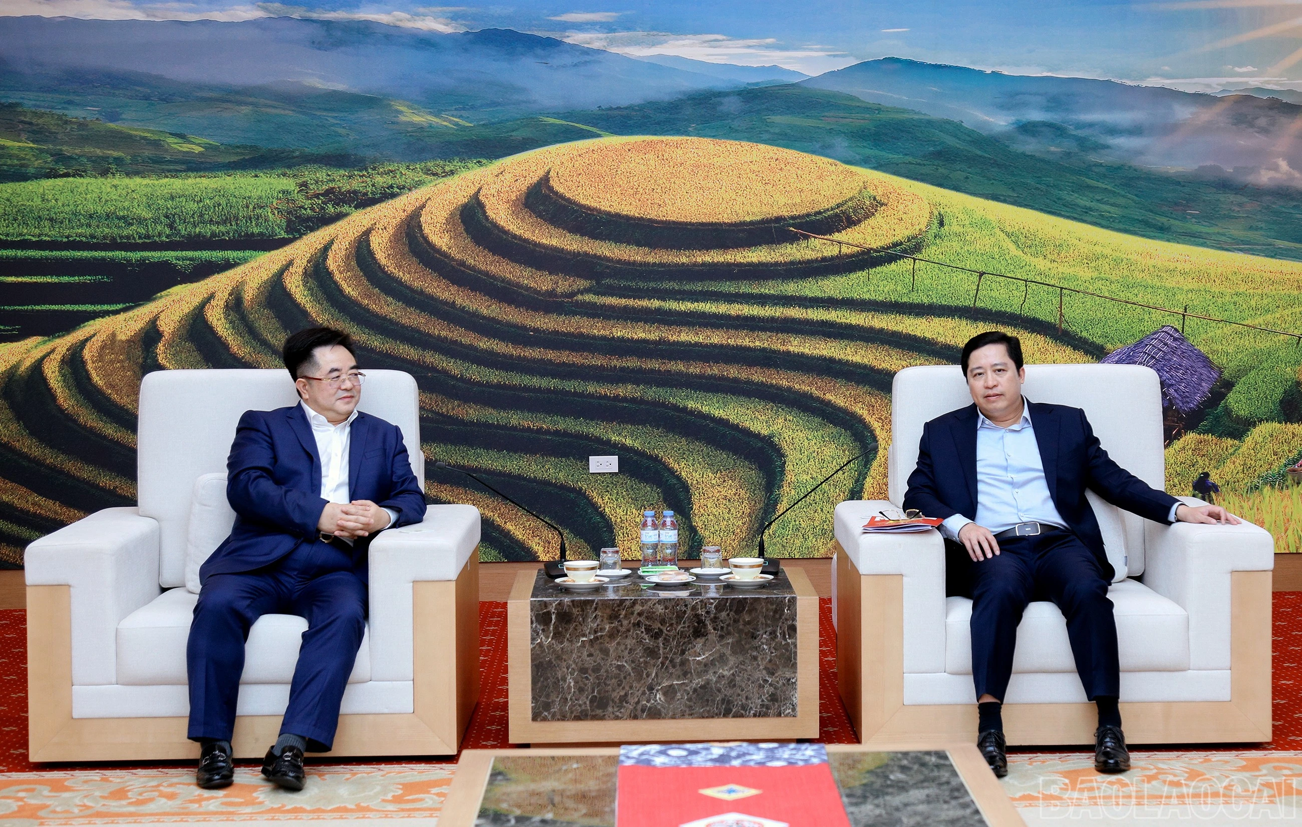 baolaocai-br_7j5a2798.jpg