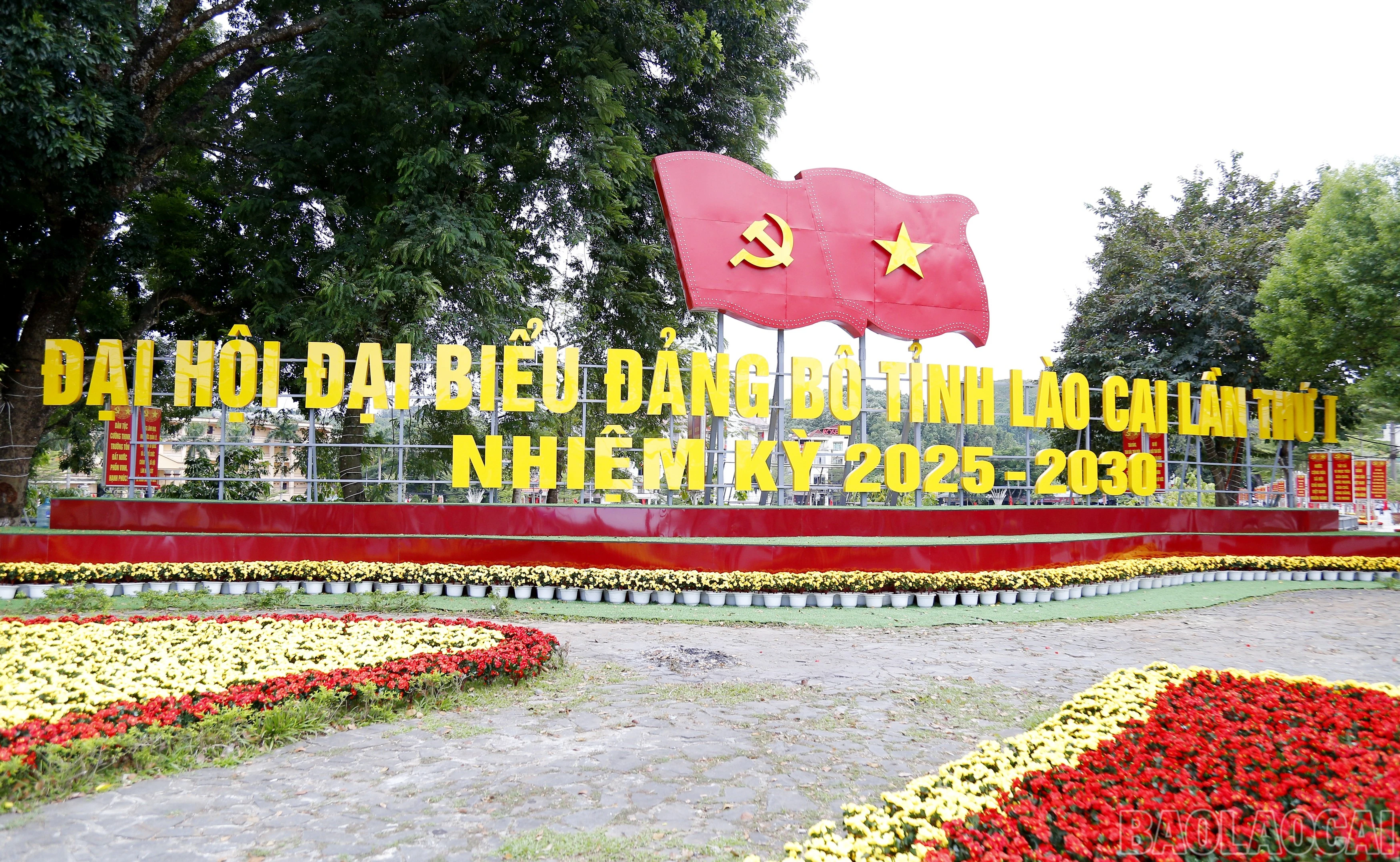 baolaocai-br_mg-7648.jpg