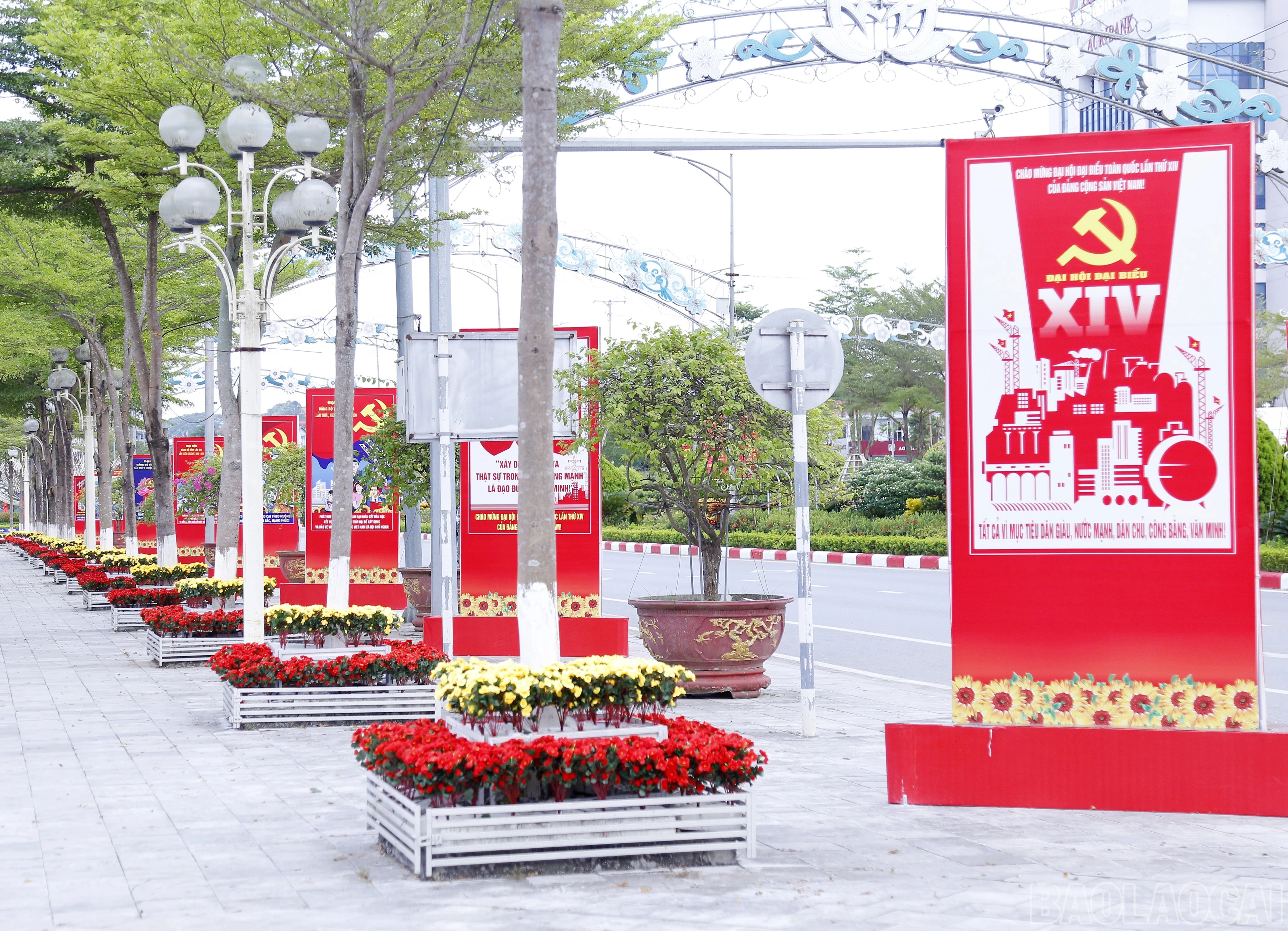 baolaocai-br_mg-7670.jpg
