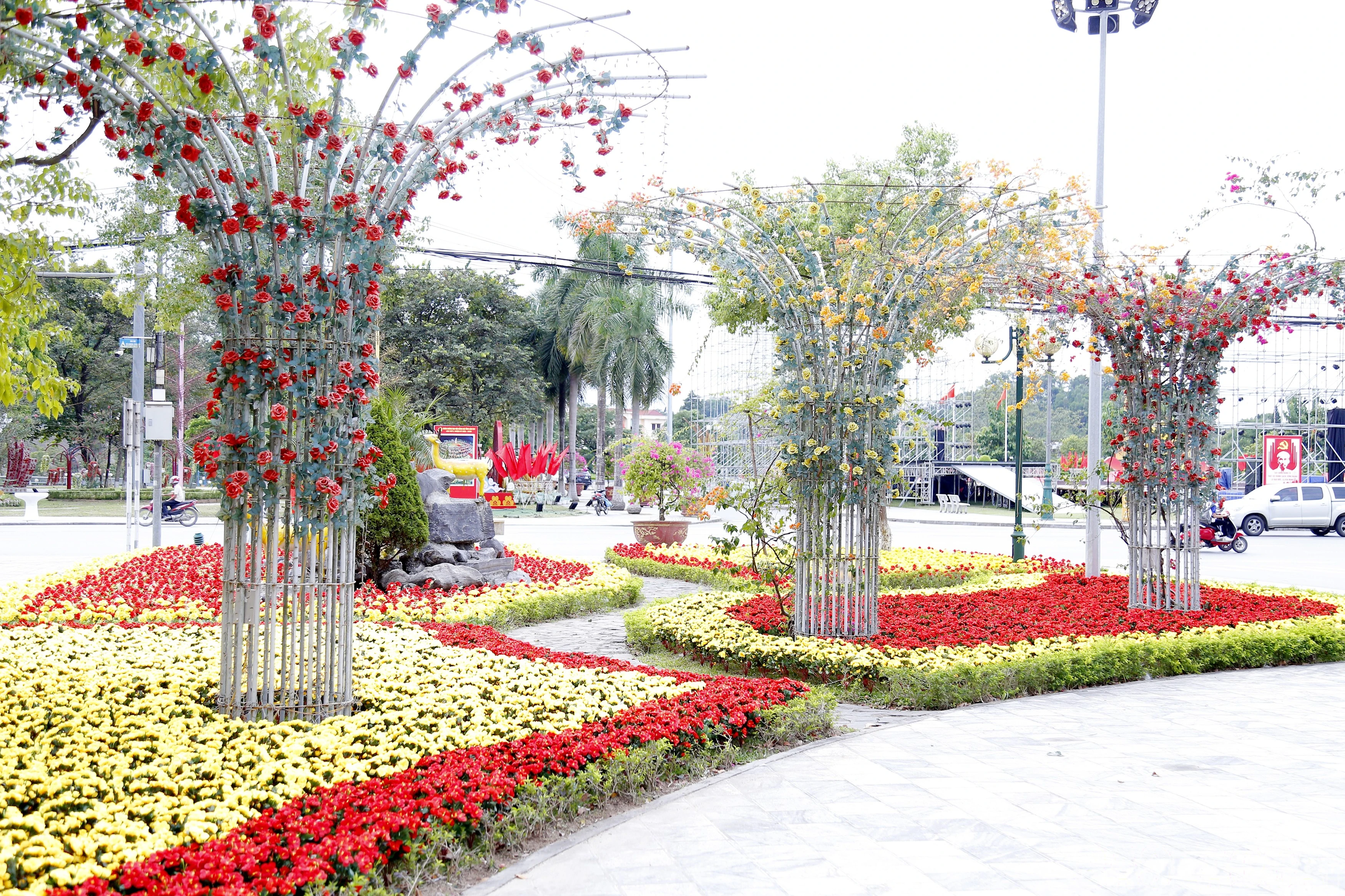 baolaocai-br_mg-7655.jpg