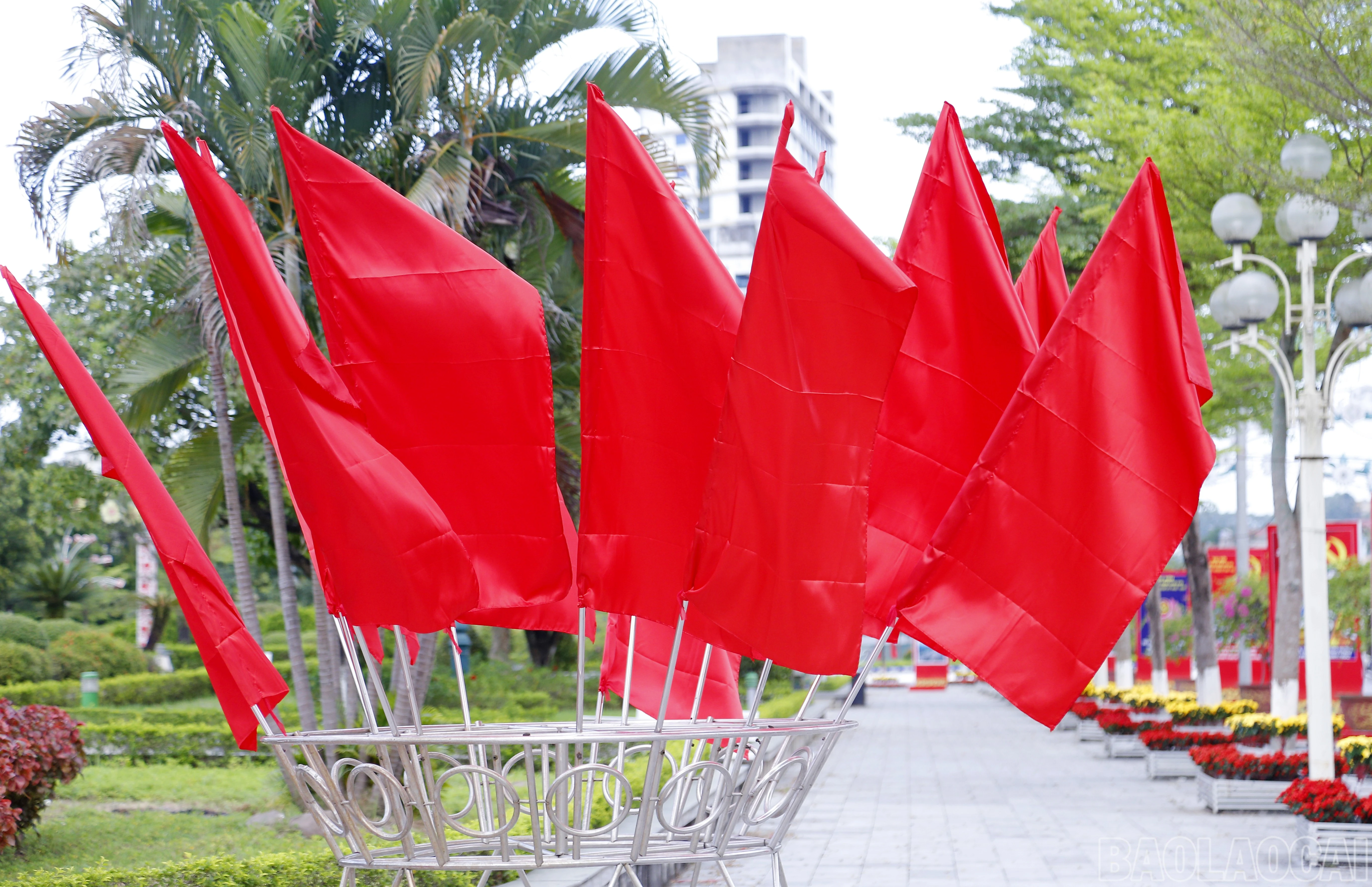 baolaocai-br_mg-7666.jpg