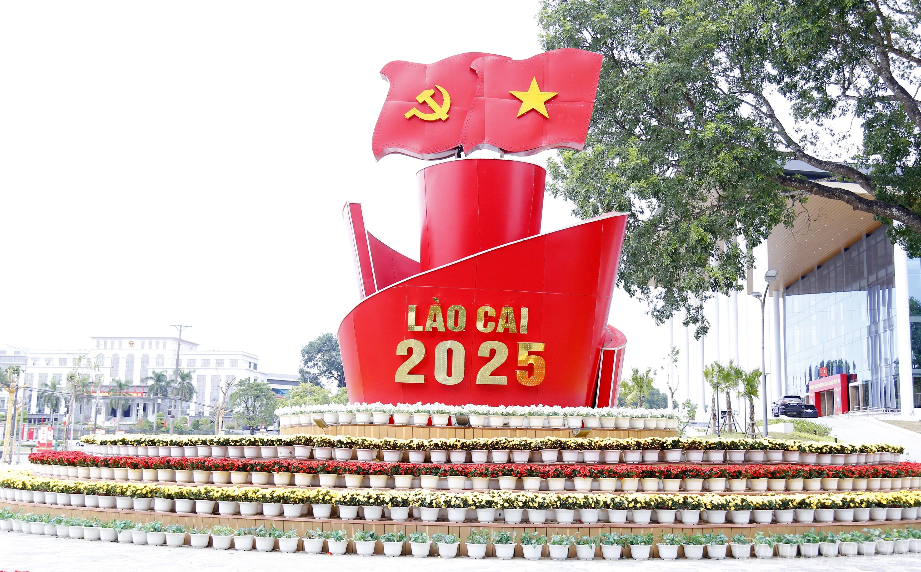 baolaocai-br_mg-7651.jpg