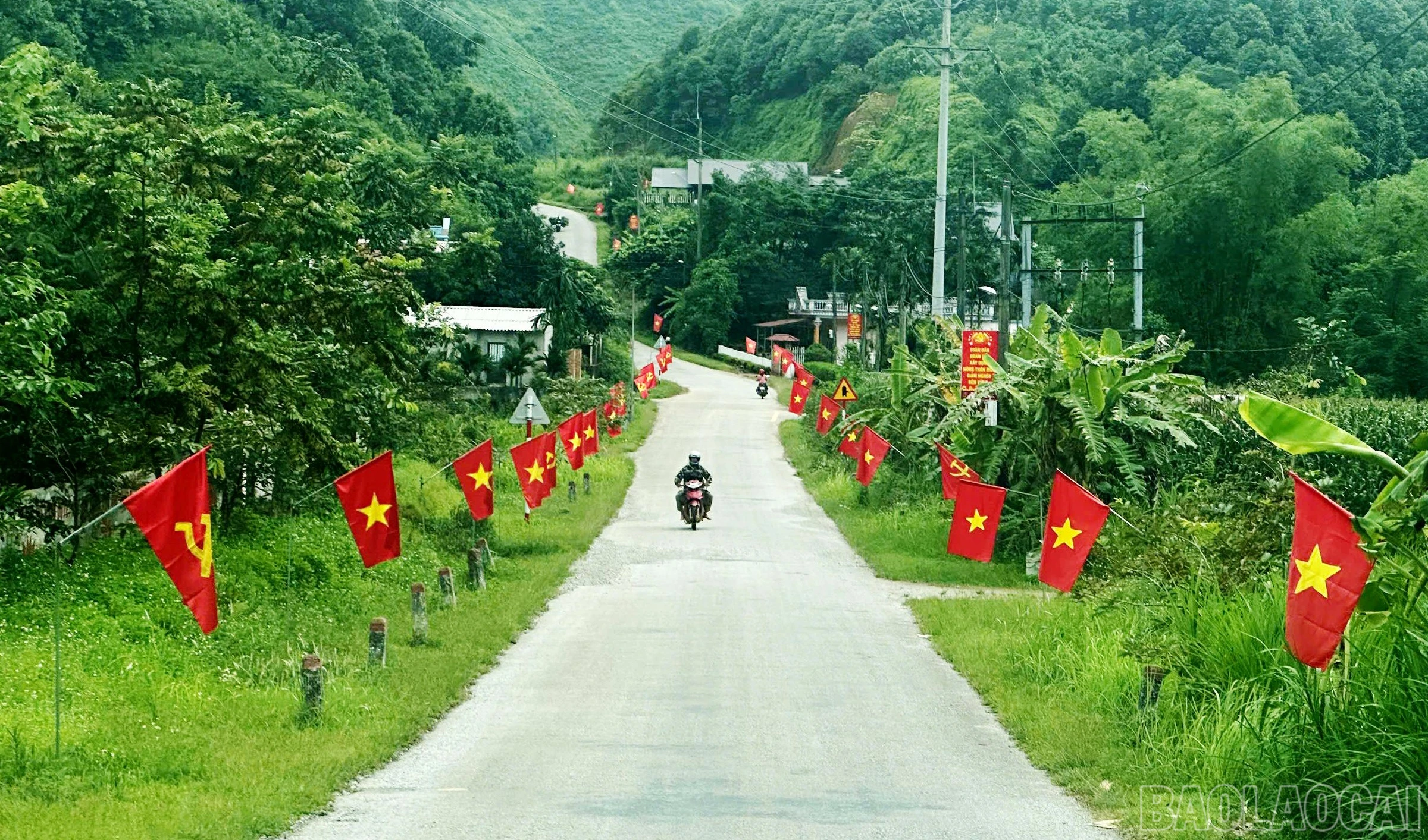 baolaocai-br_z7046055137092-ea63f0b7ad351c74e7d87e32d9c8e082.jpg