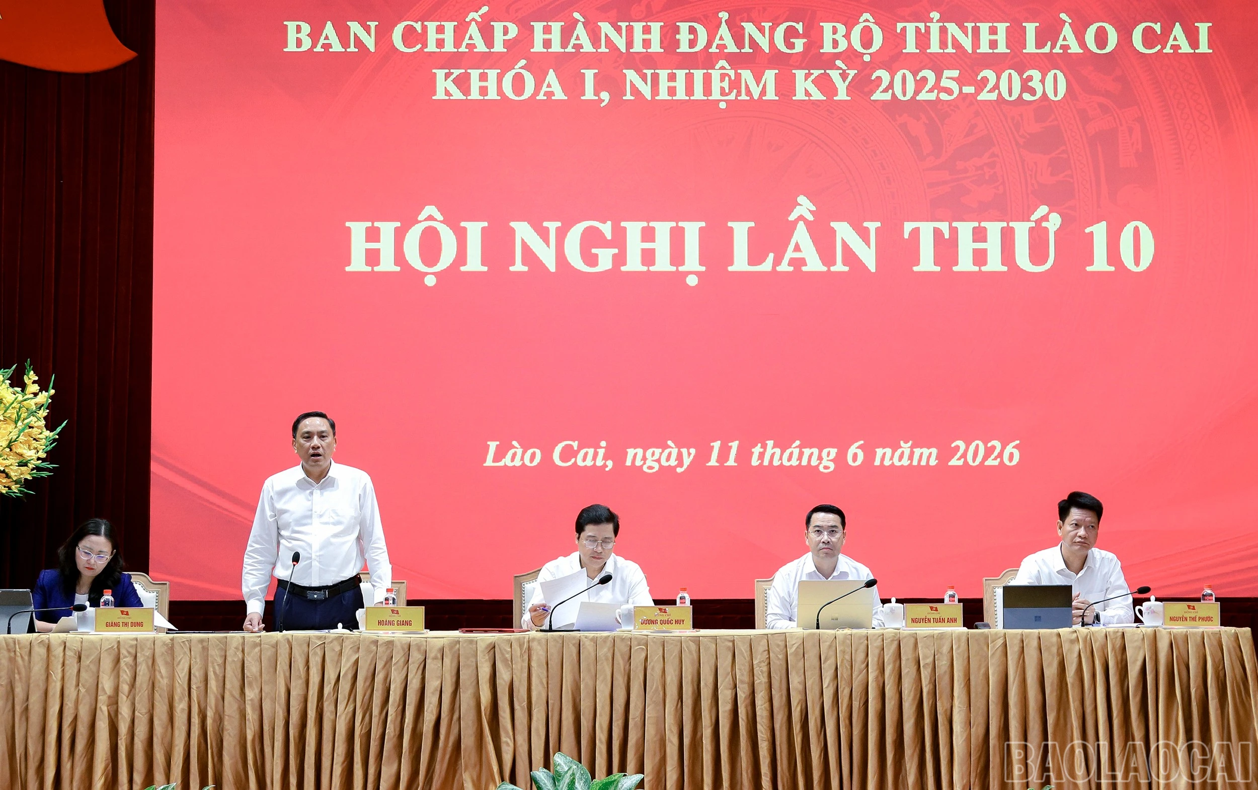 baolaocai-br_7j5a4634.jpg