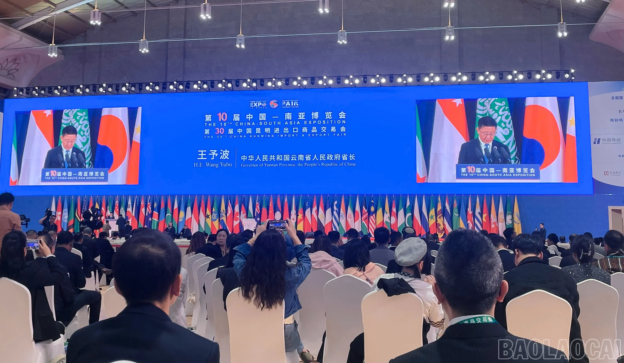 baolaocai-br_z7924605649606-5d3b78ae26e341c757b168d13626f76e.jpg