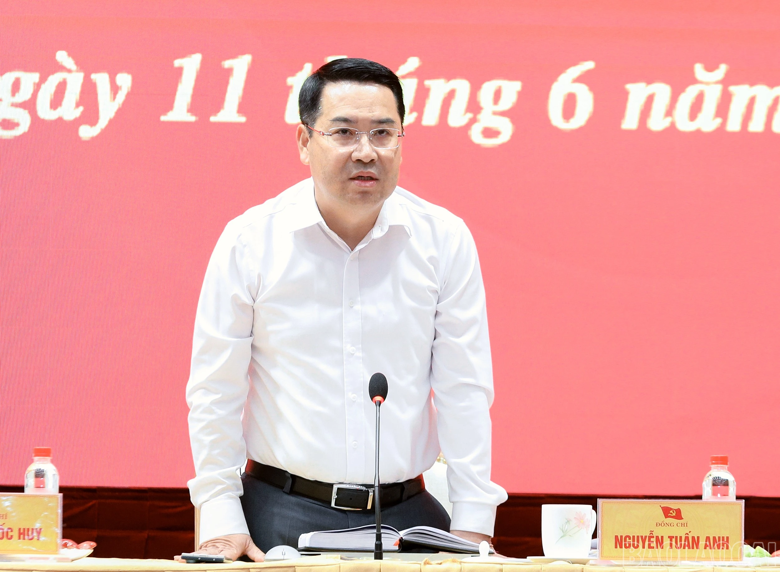 baolaocai-br_7j5a4723.jpg