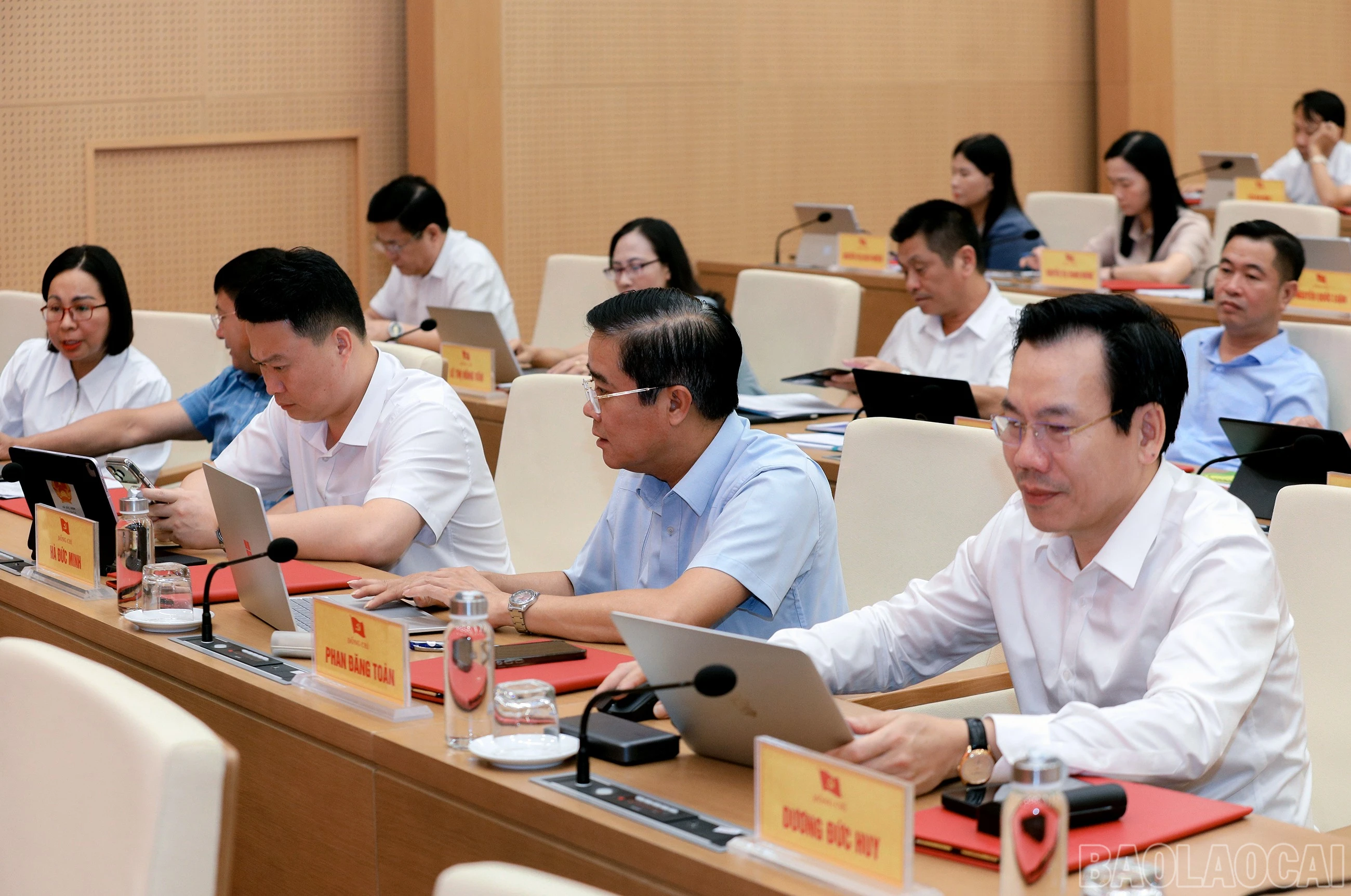 baolaocai-br_7j5a4669.jpg