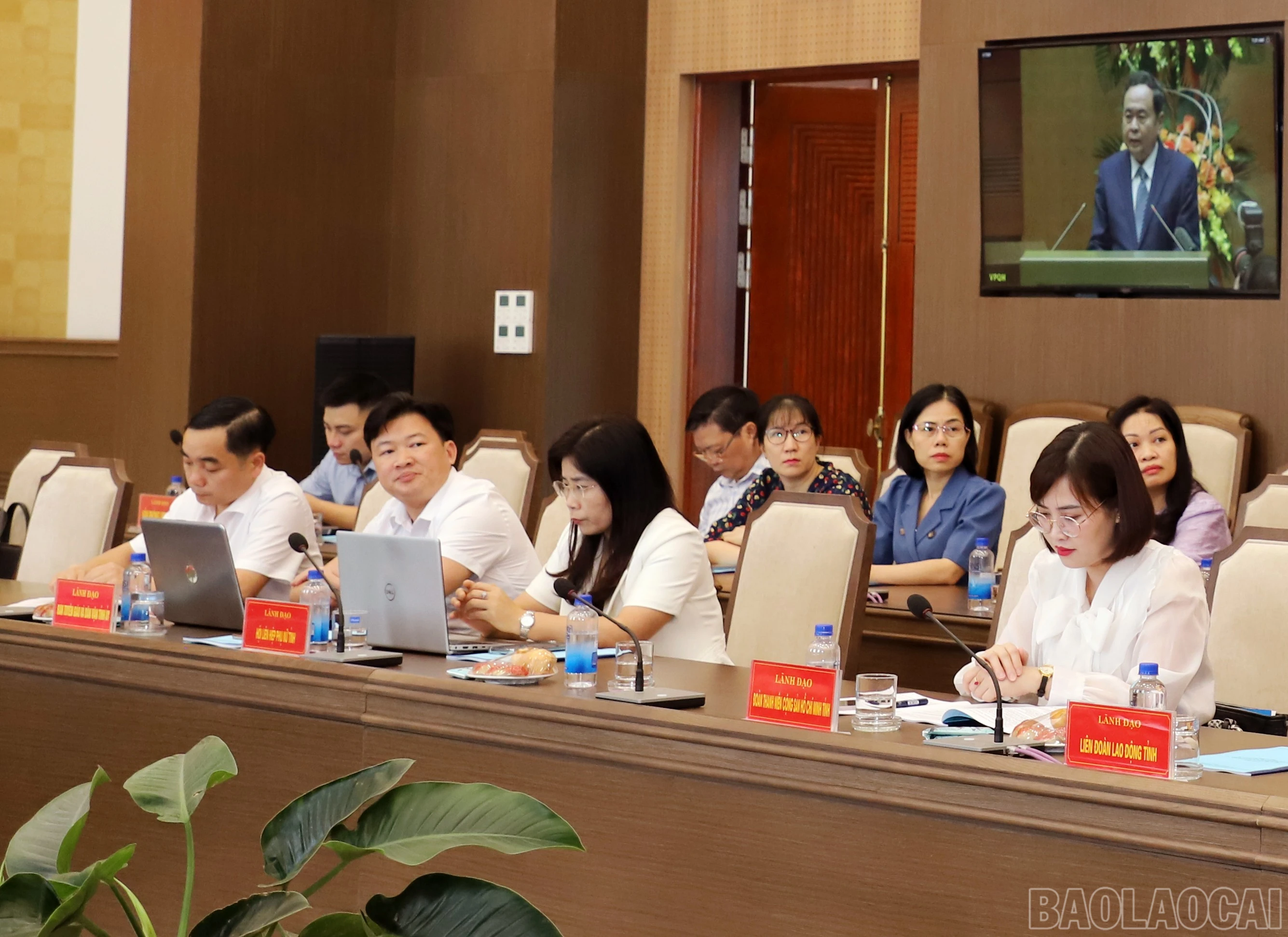 baolaocai-br_img-0034.jpg