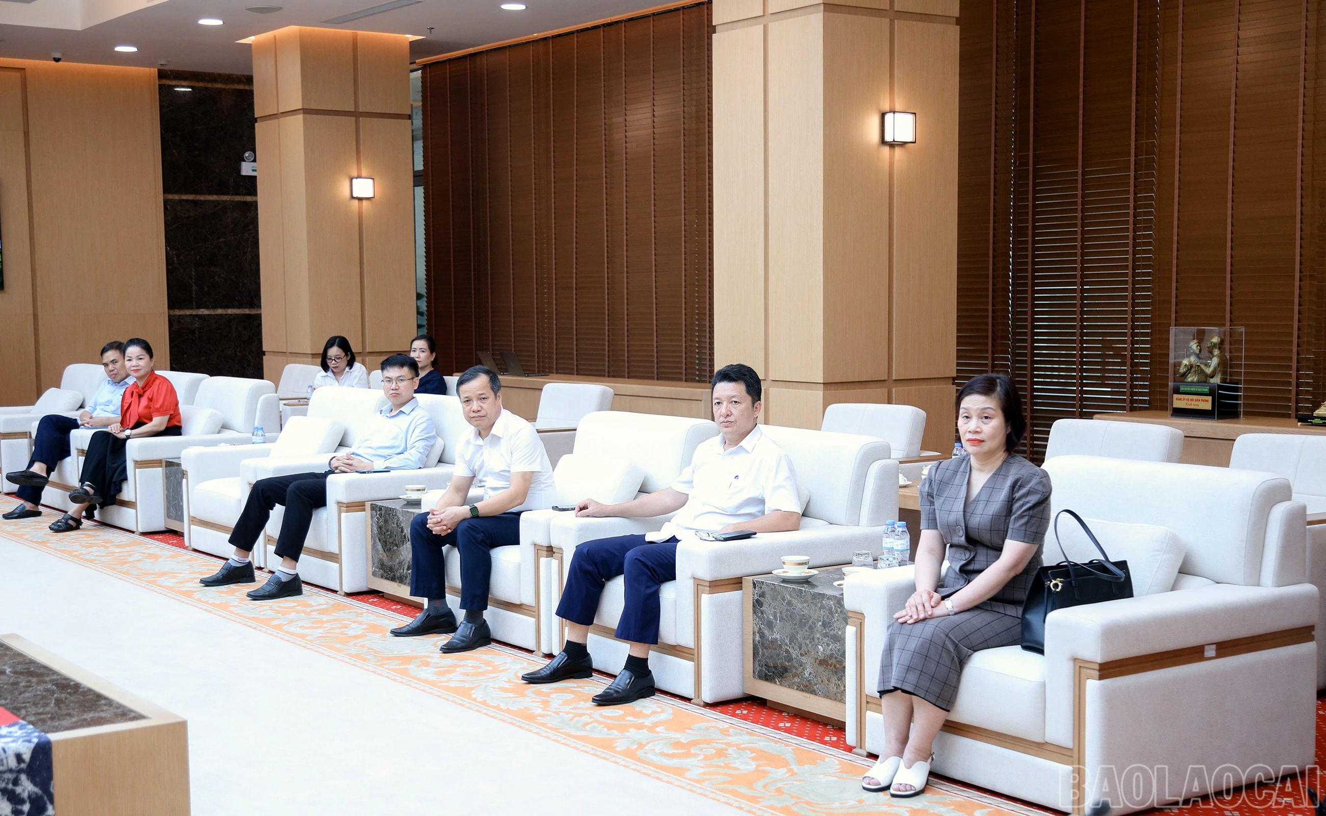 baolaocai-br_7j5a3954.jpg