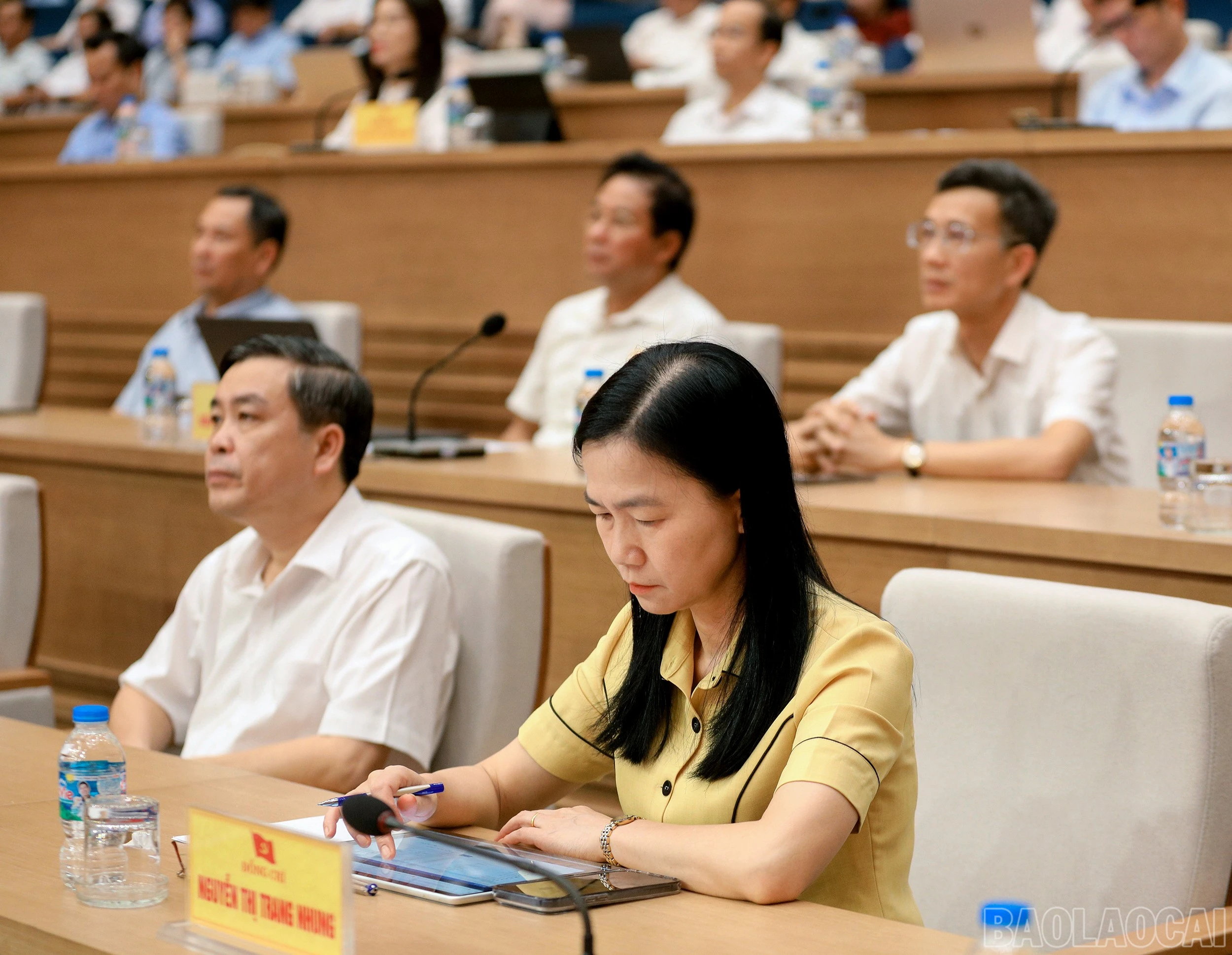 baolaocai-br_7j5a5201.jpg