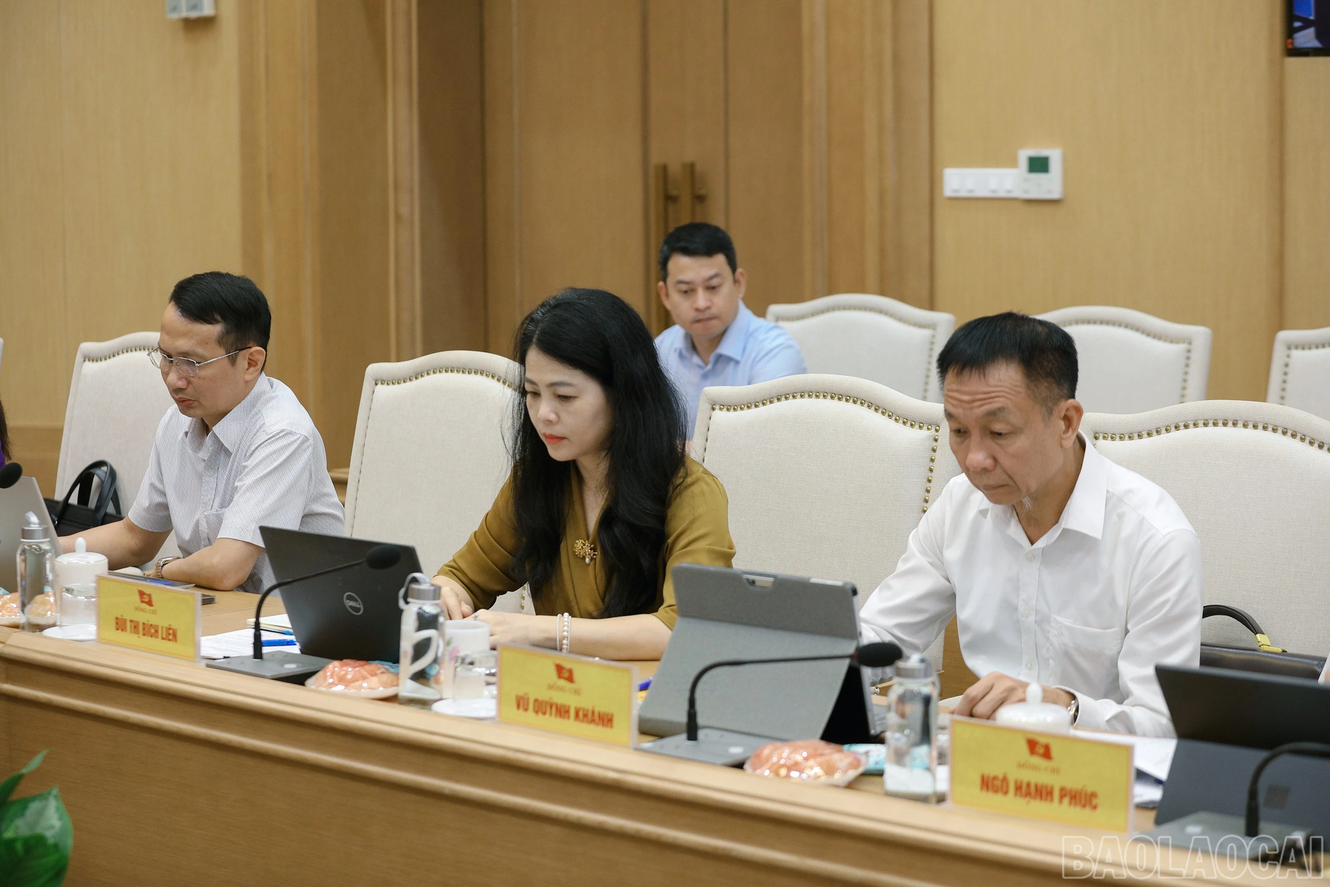 baolaocai-br_7j5a6179.jpg