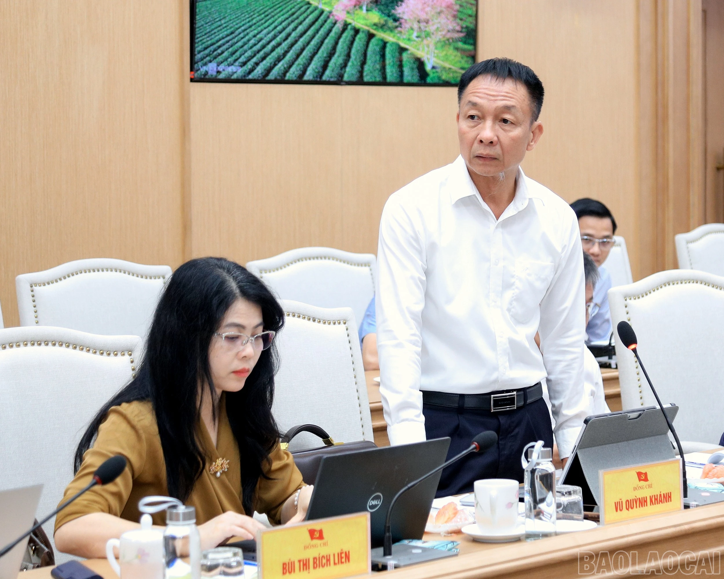 baolaocai-br_7j5a6277.jpg