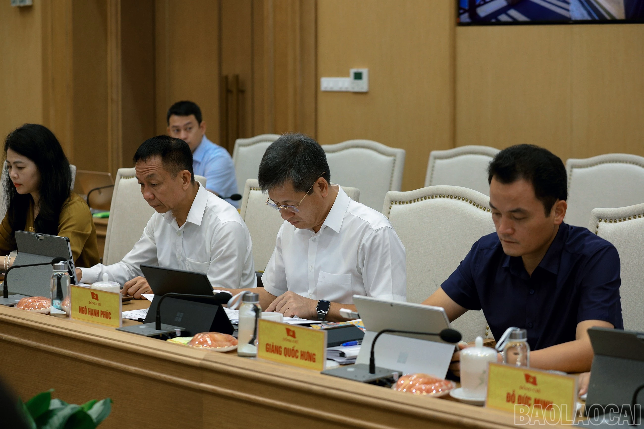 baolaocai-br_7j5a6177.jpg