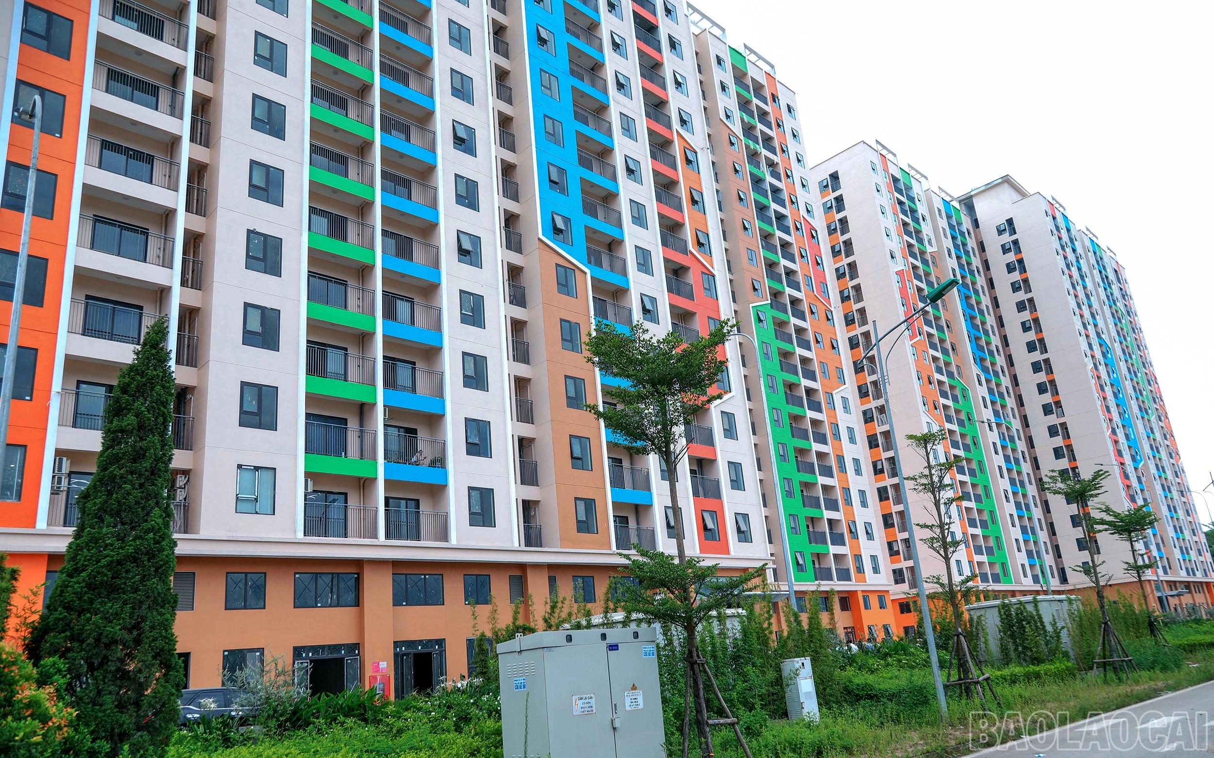 baolaocai-br_7j5a7559.jpg