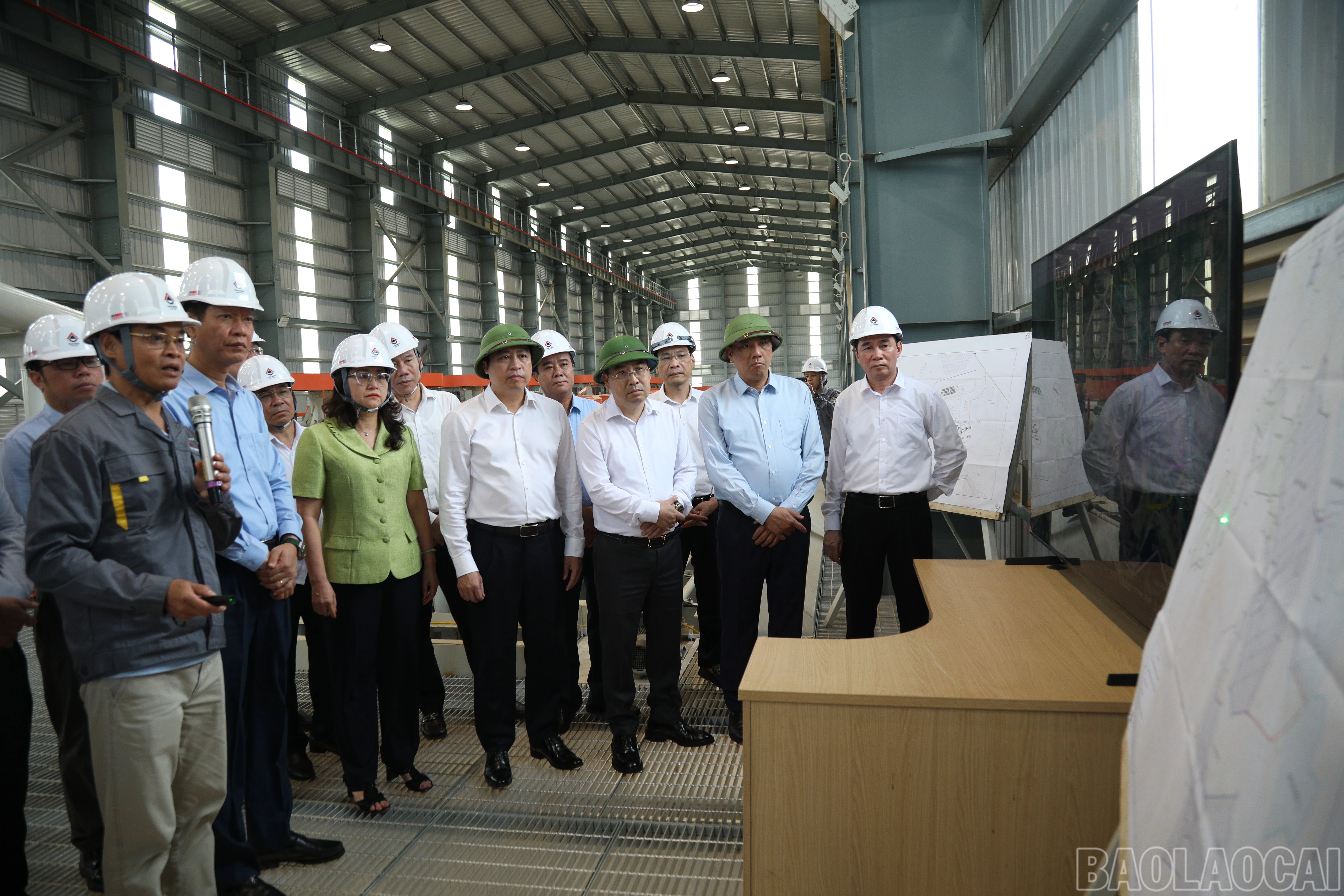 baolaocai-br_7j5a2910.jpg