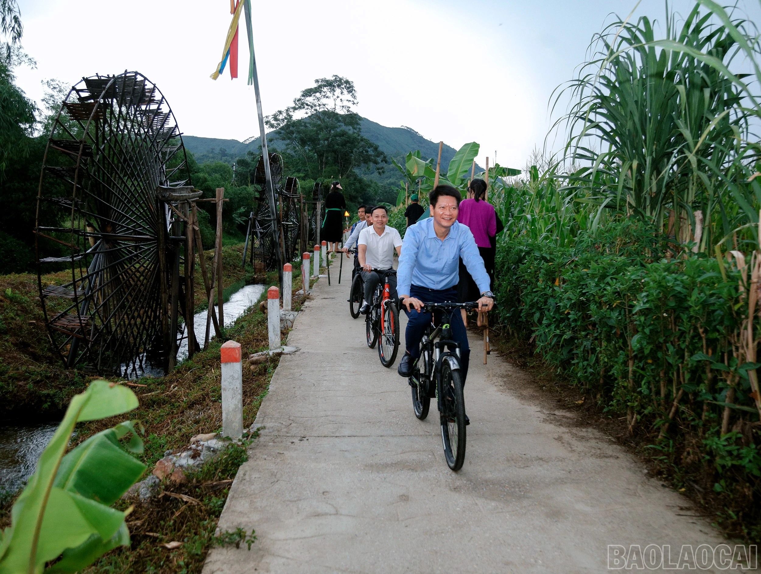 baolaocai-br_7j5a3426.jpg