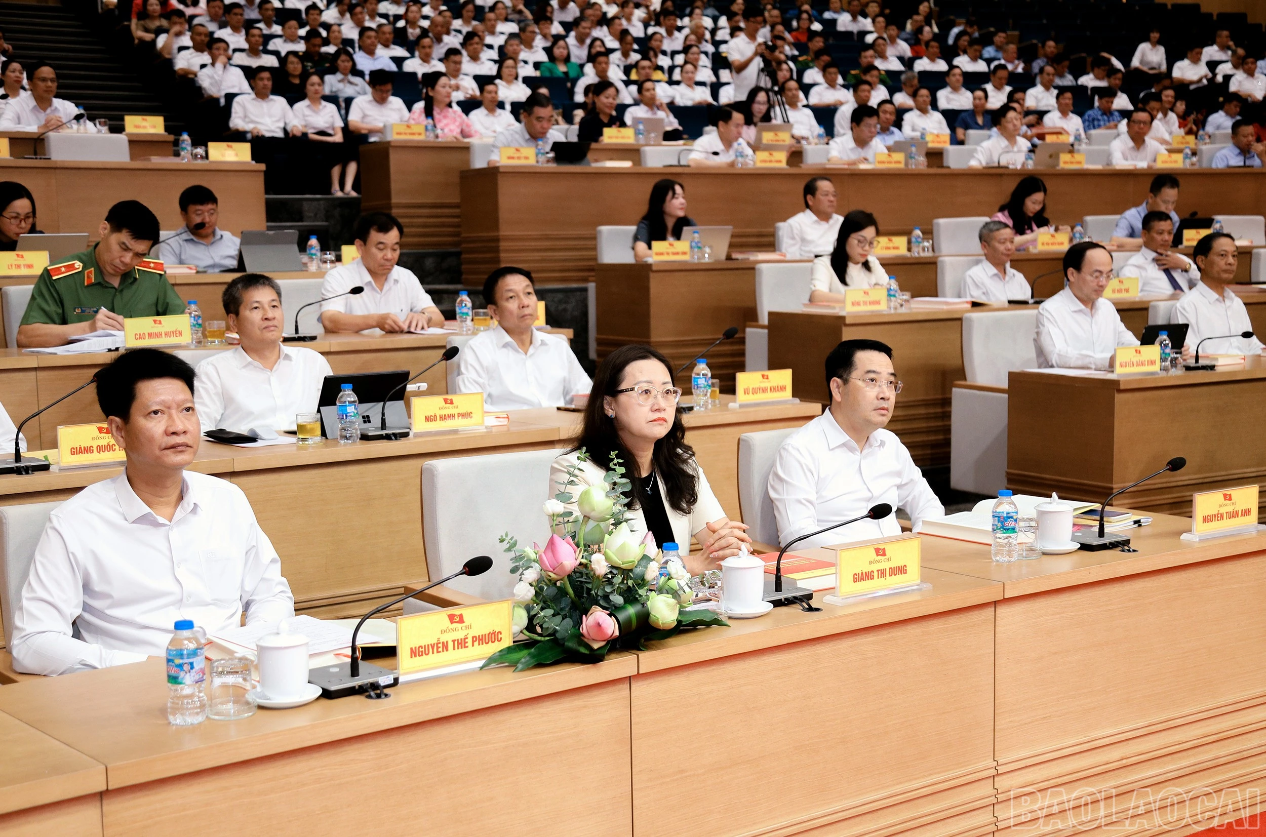 baolaocai-br_7j5a4063.jpg
