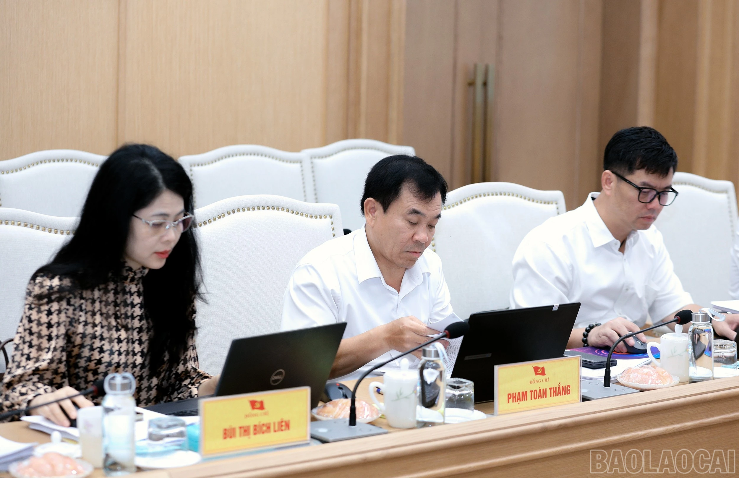 baolaocai-br_7j5a1394.jpg