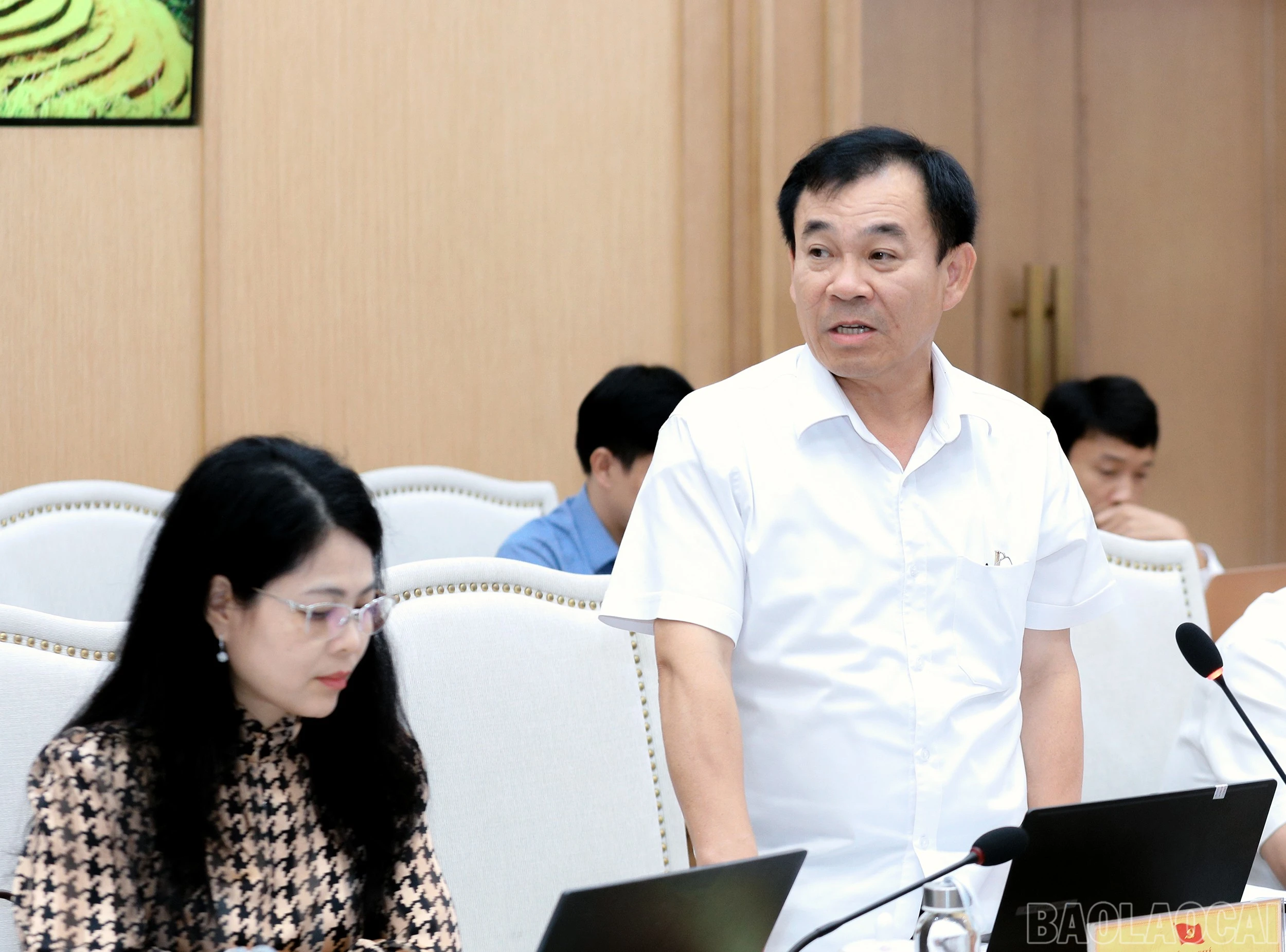 baolaocai-br_7j5a1453.jpg
