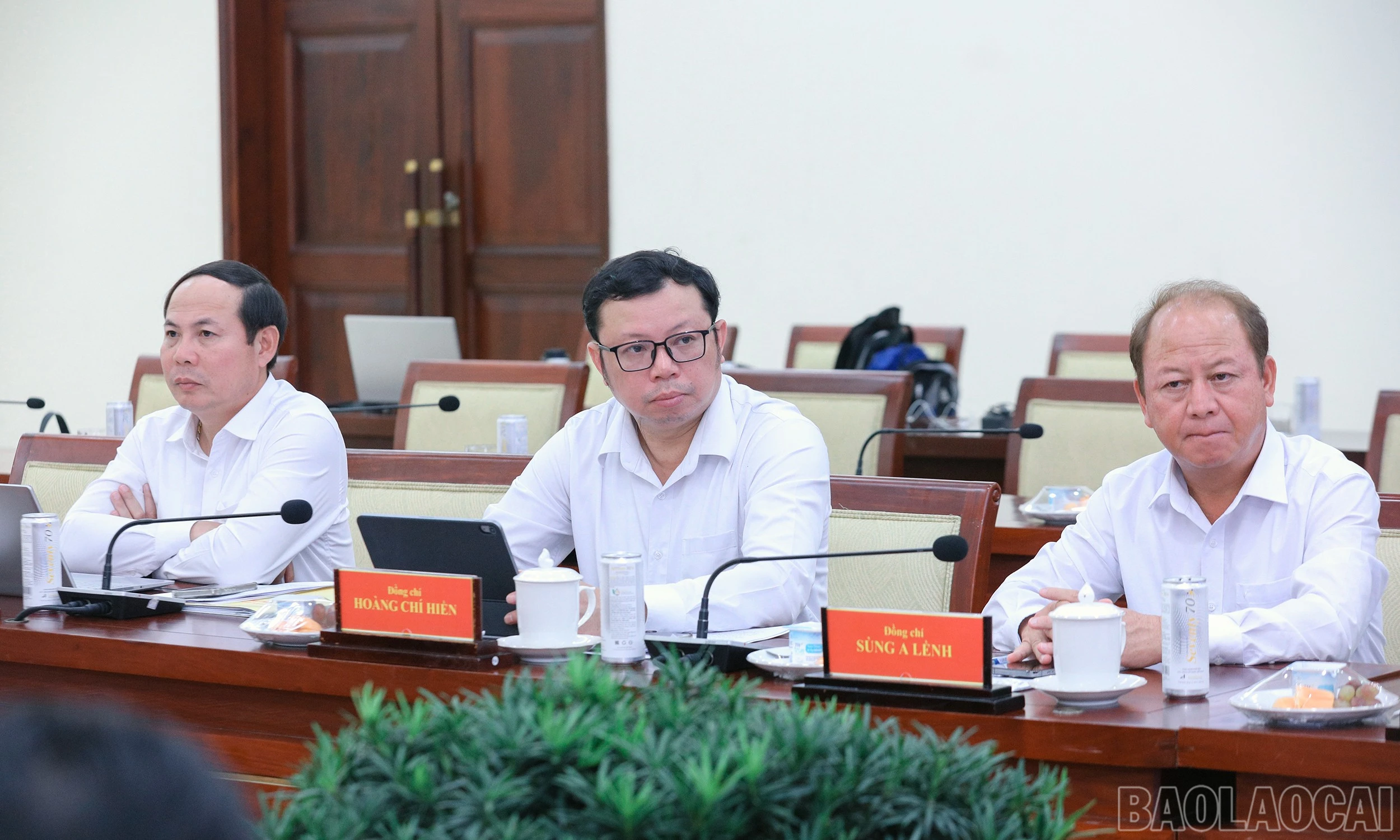 baolaocai-br_7j5a7512.jpg