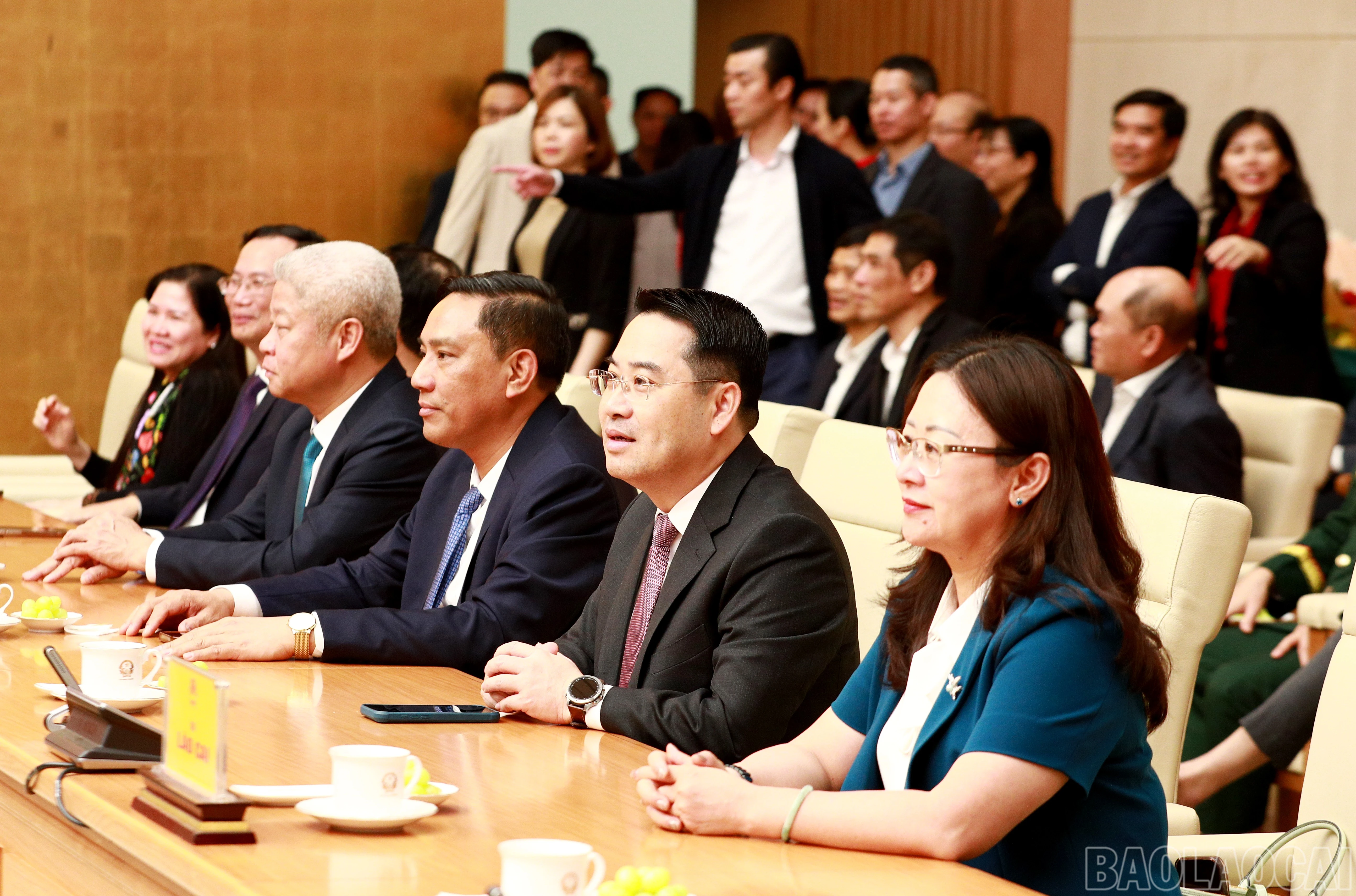 baolaocai-br_7j5a6563.jpg