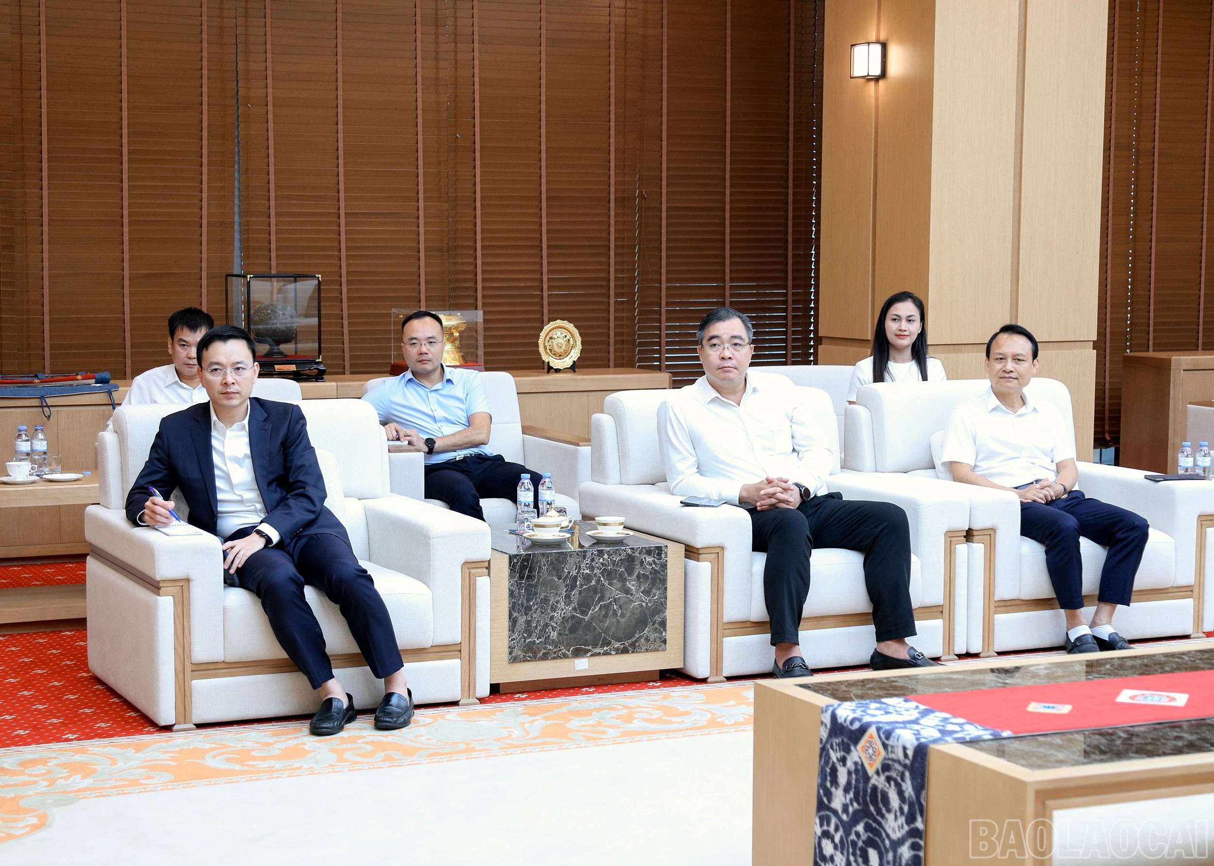 baolaocai-br_7j5a7615.jpg