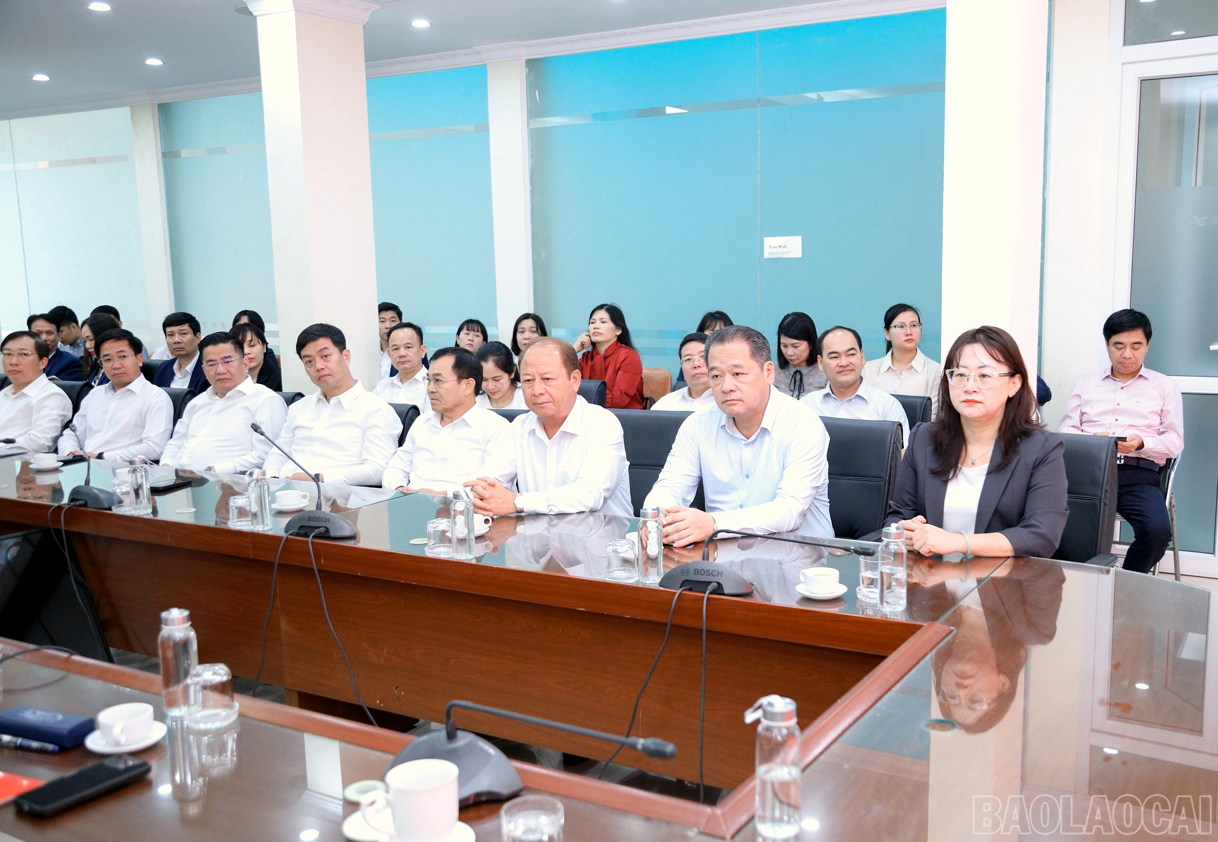 baolaocai-br_7j5a6509.jpg