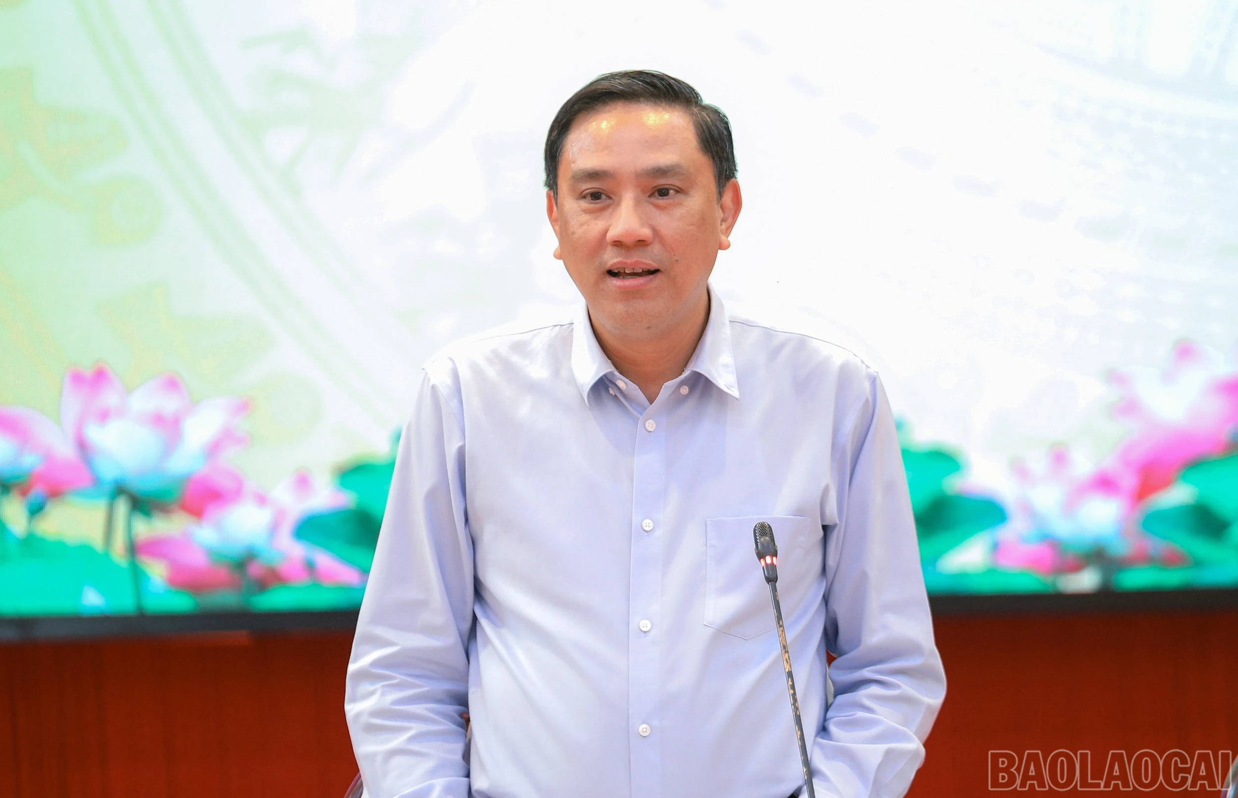 baolaocai-br_7j5a6306.jpg