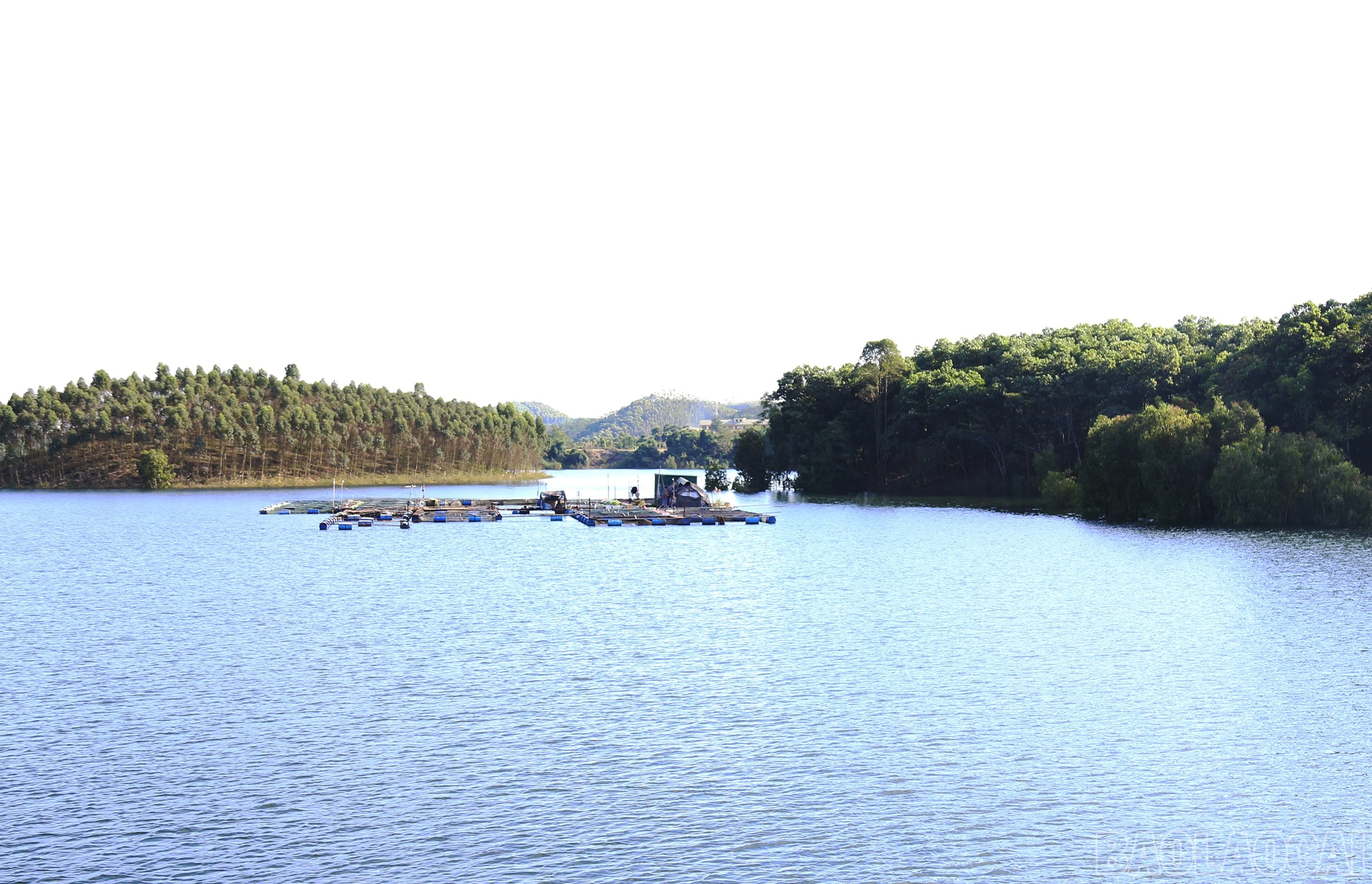 baolaocai-br_img-1182.jpg