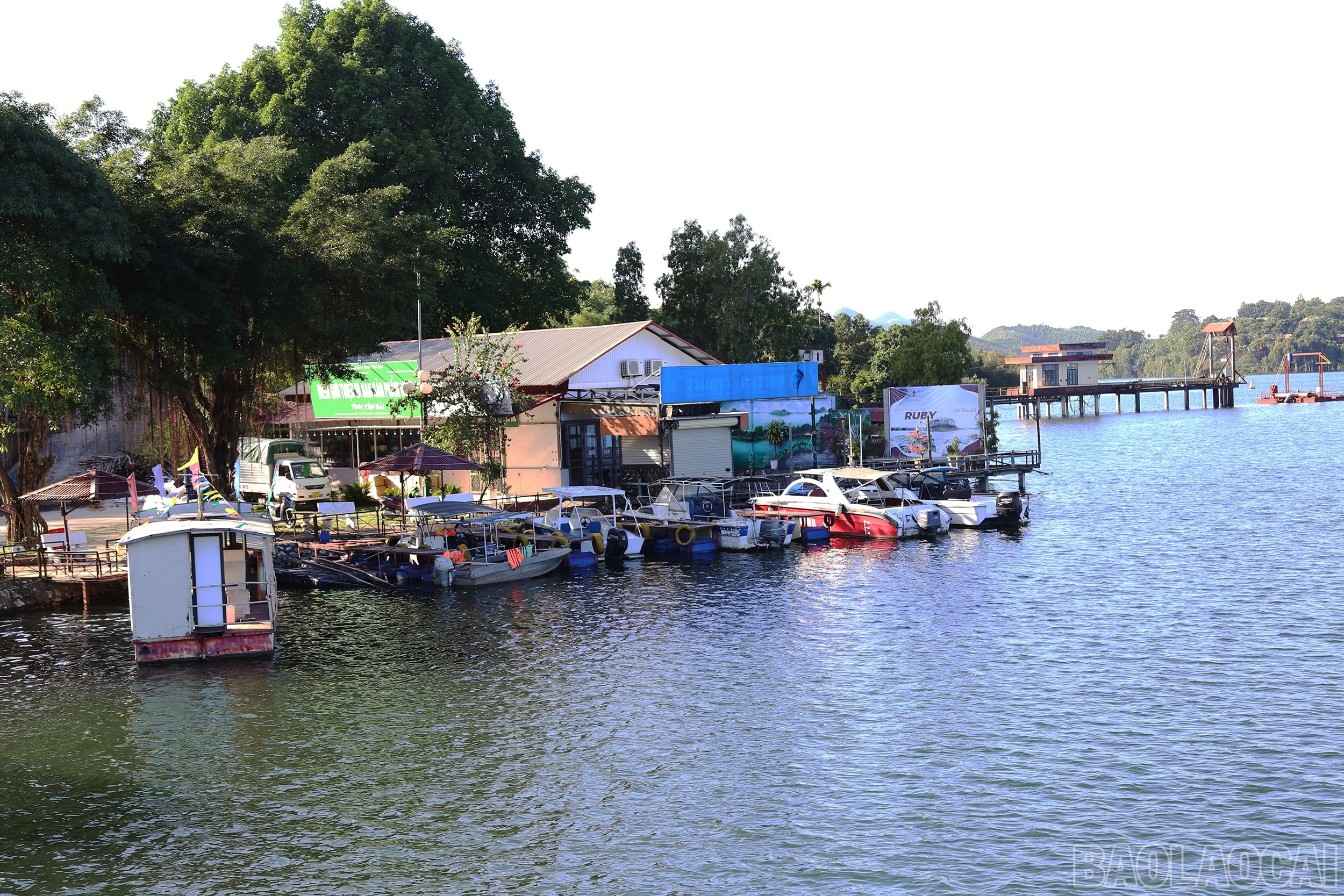 baolaocai-br_img-1174.jpg